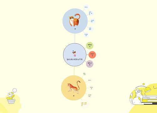 亲子互动-提高孩子思维能力-猫和虎的相同与不同-气泡图