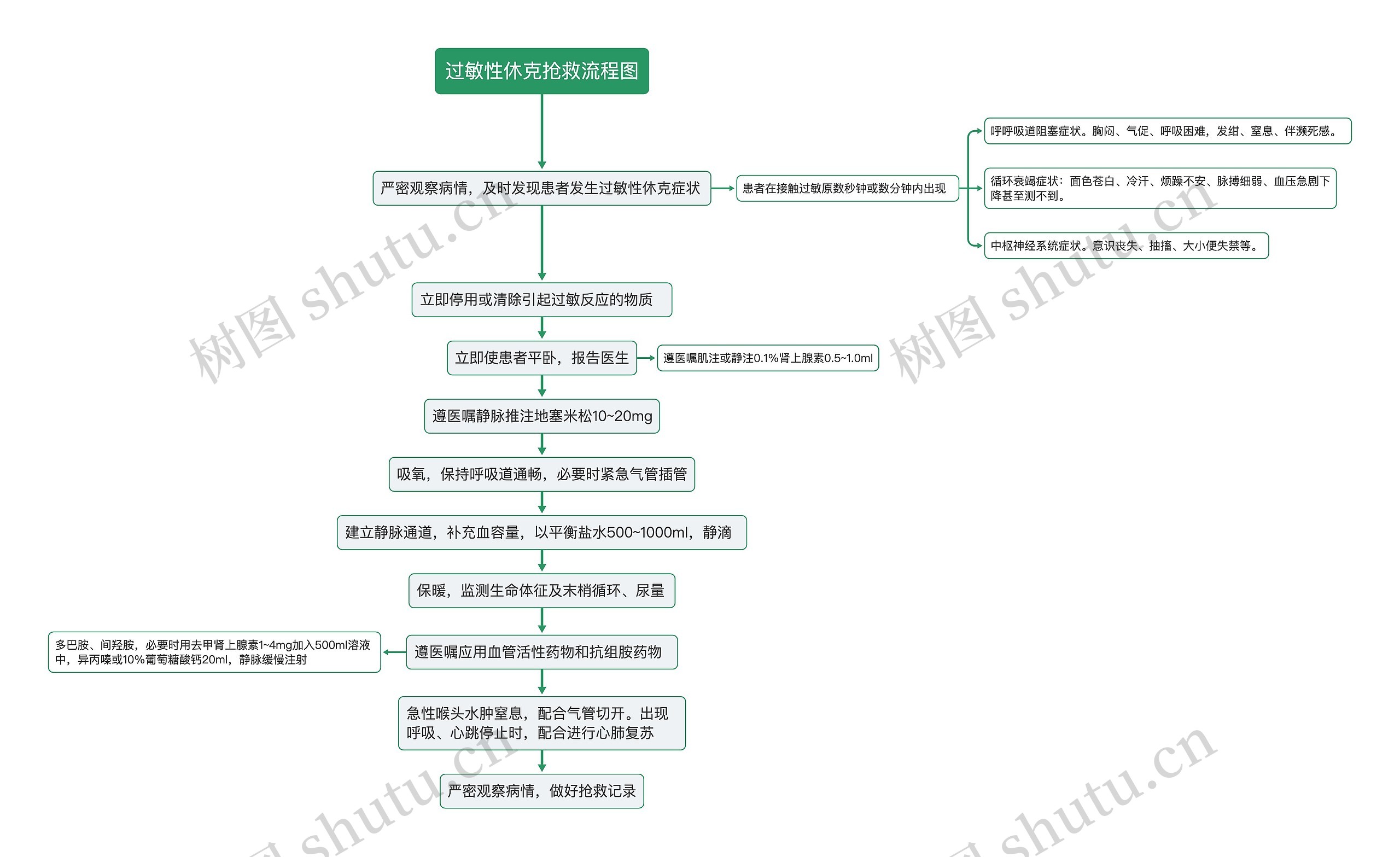 过敏性休克抢救流程图思维导图