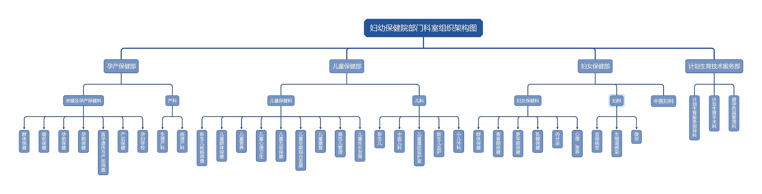 ﻿妇幼保健院部门科室组织架构图