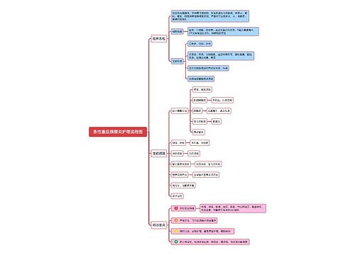 急性重症胰腺炎护理流程图