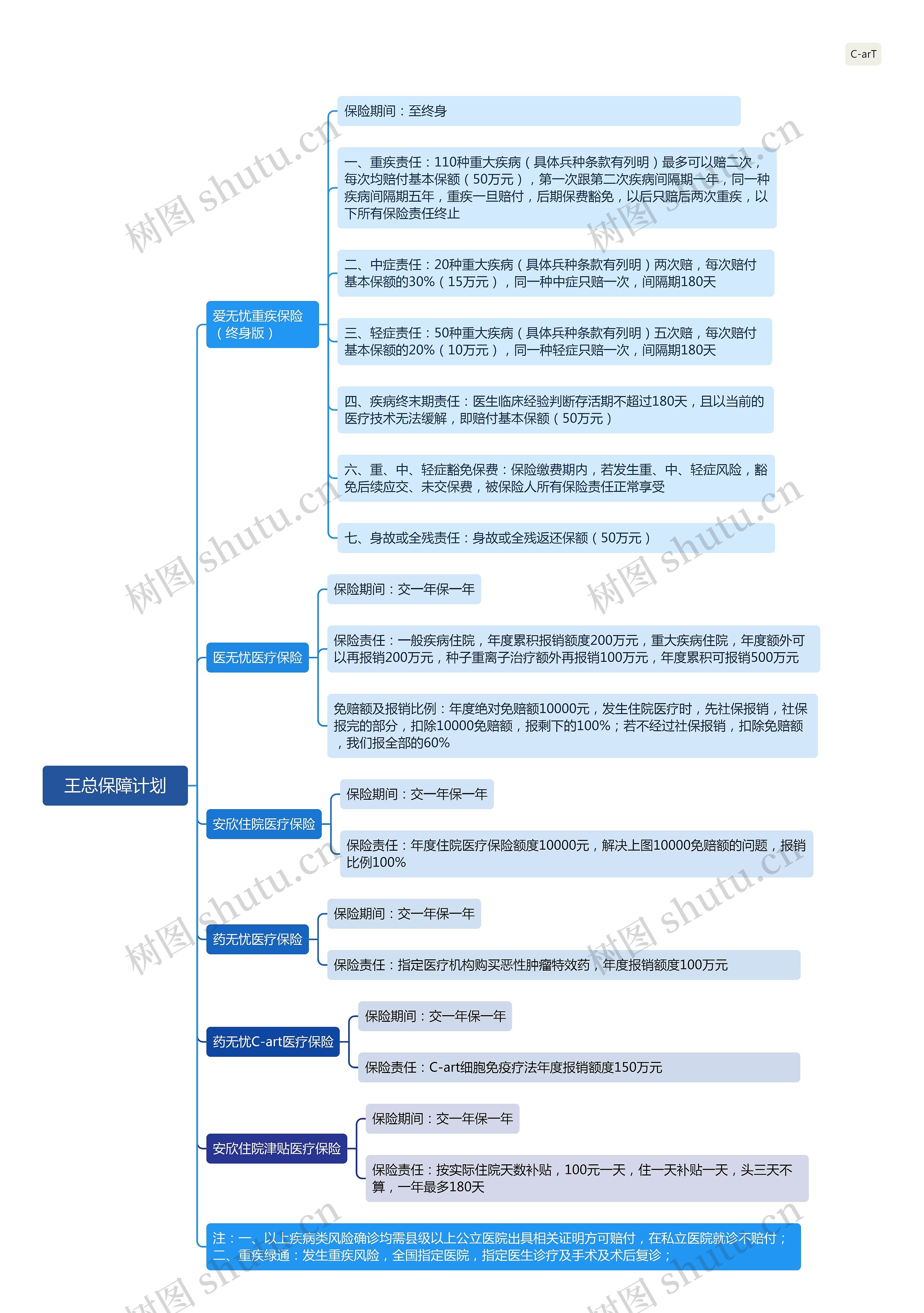 王总保障计划