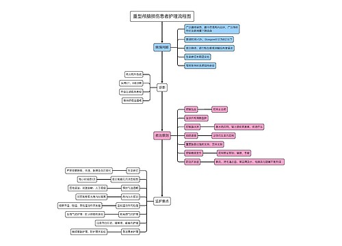 重型颅脑损伤患者护理流程图