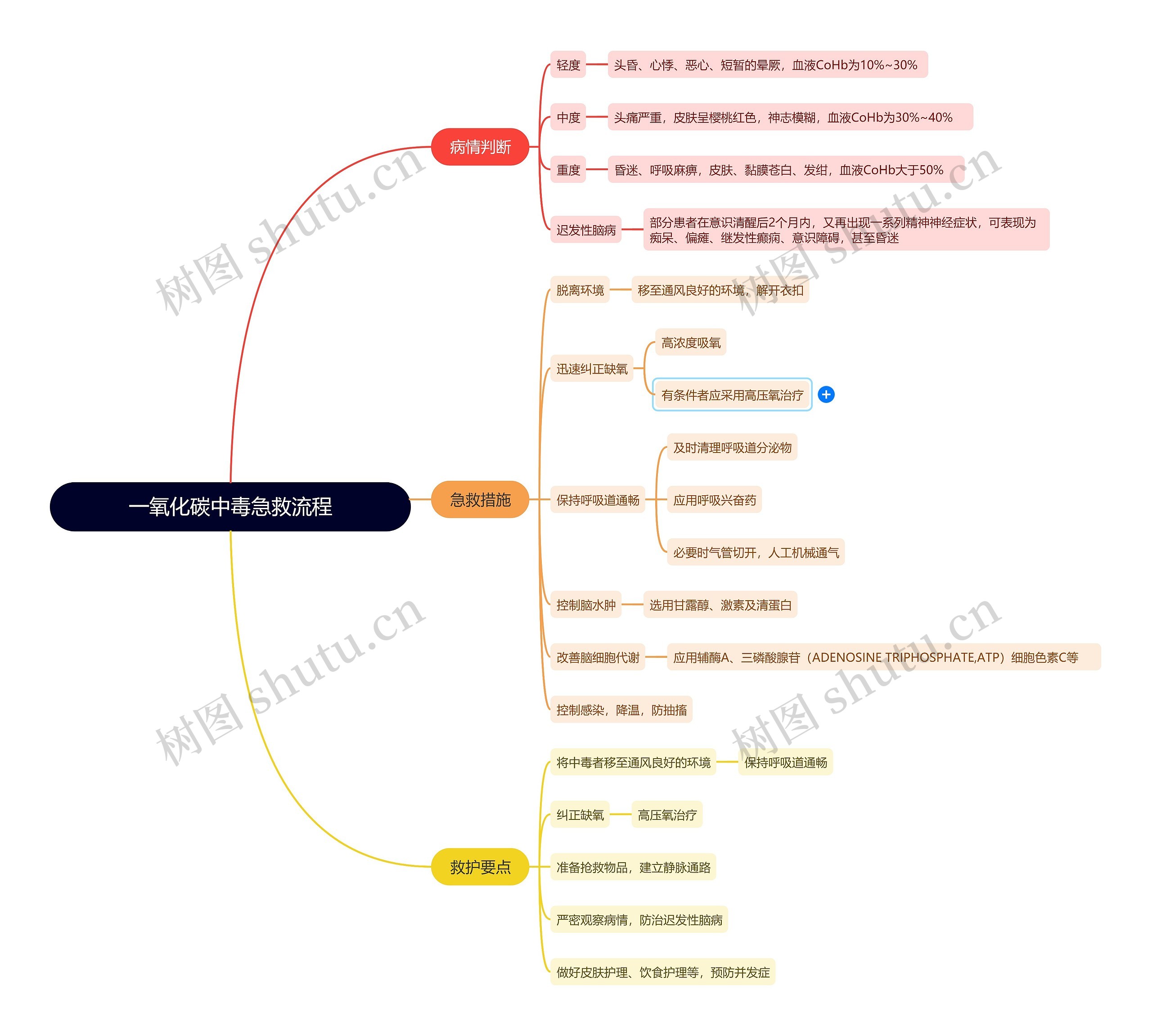 一氧化碳中毒急救流程思维导图