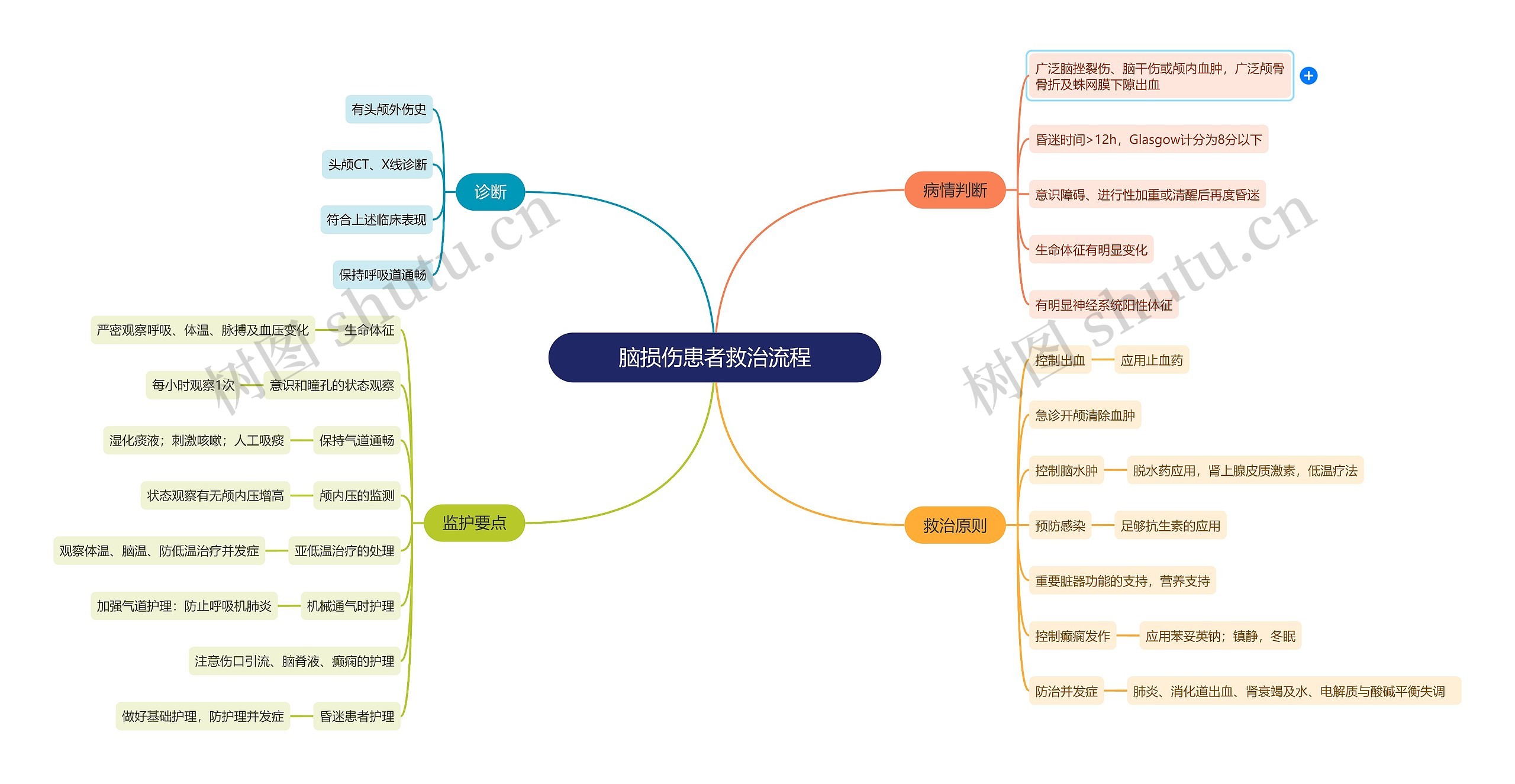 脑损伤患者救治流程思维导图