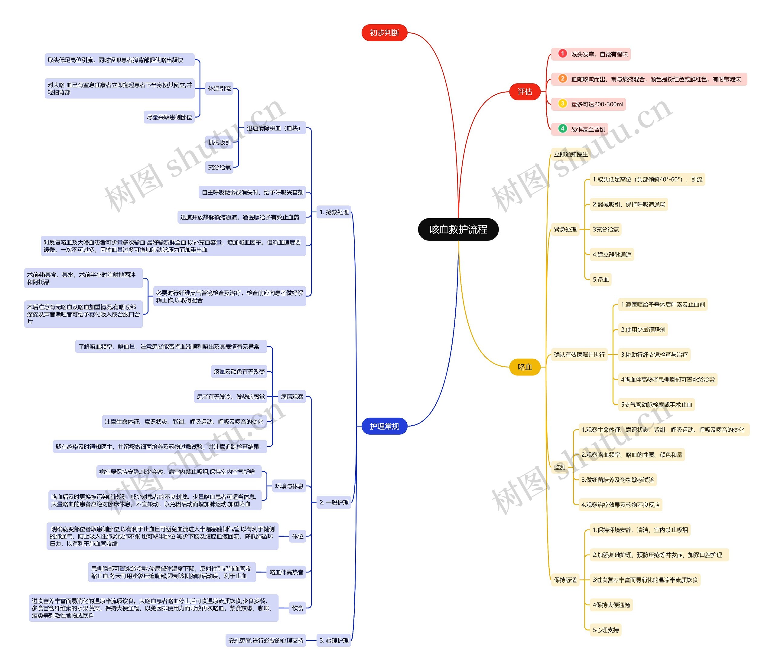 咳血救护流程思维导图
