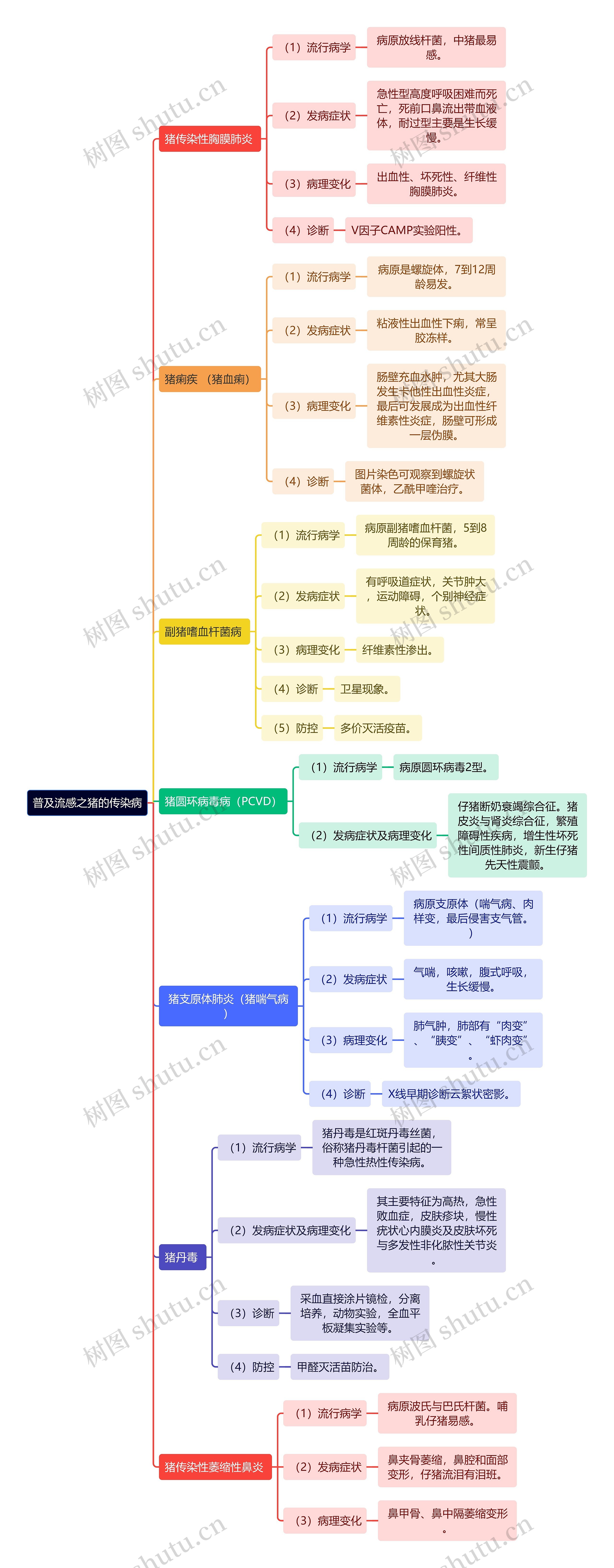 普及流感之猪的传染病