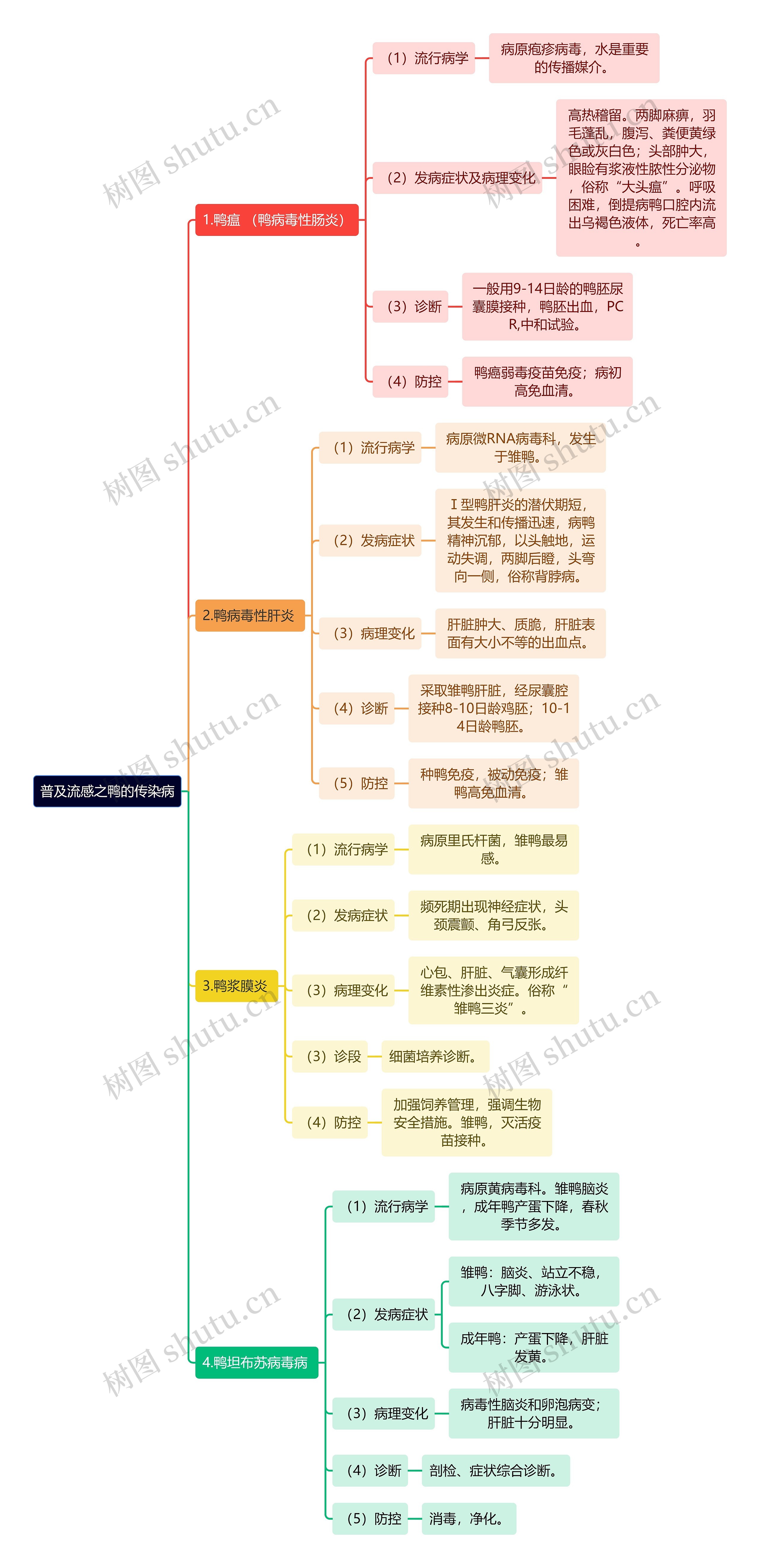 普及流感之鸭的传染病思维导图