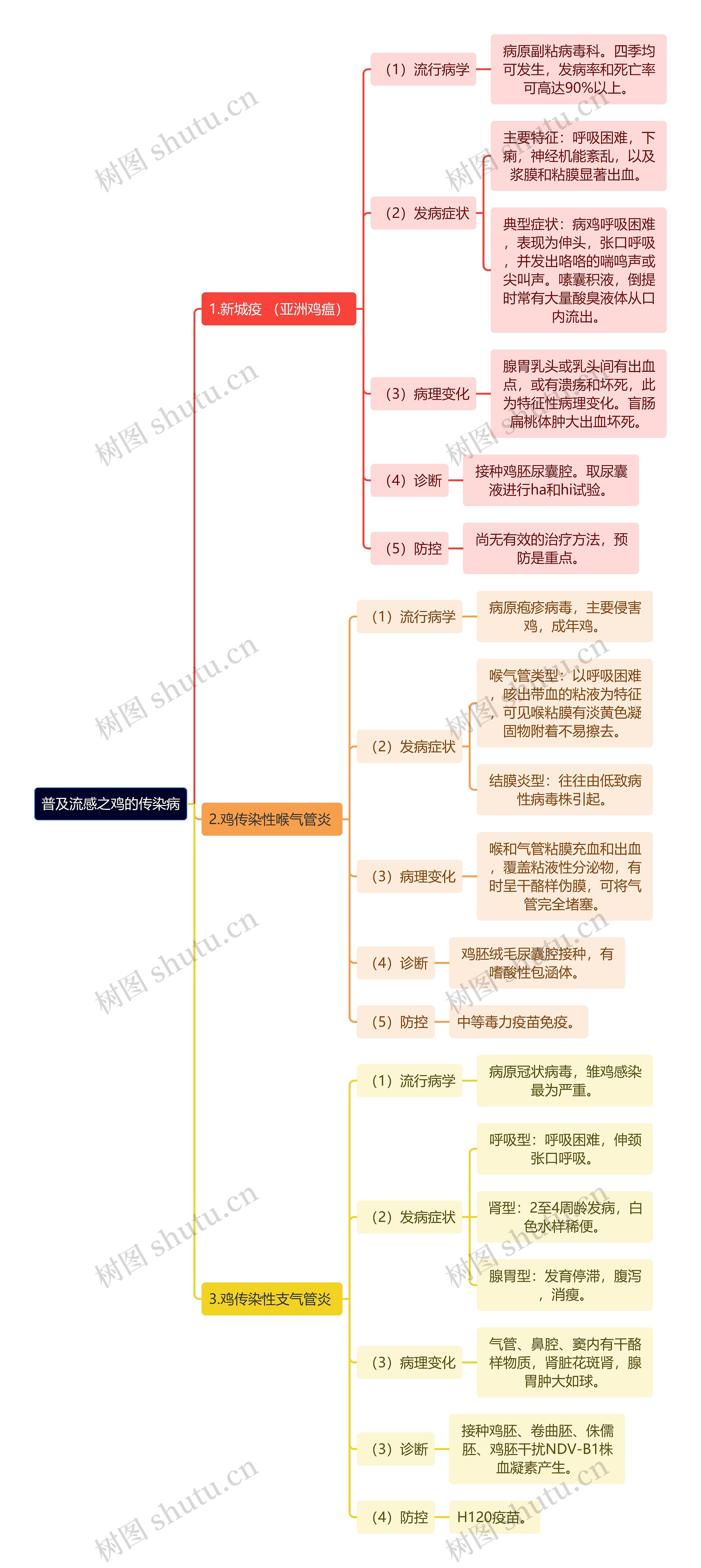 普及流感之鸡的传染病