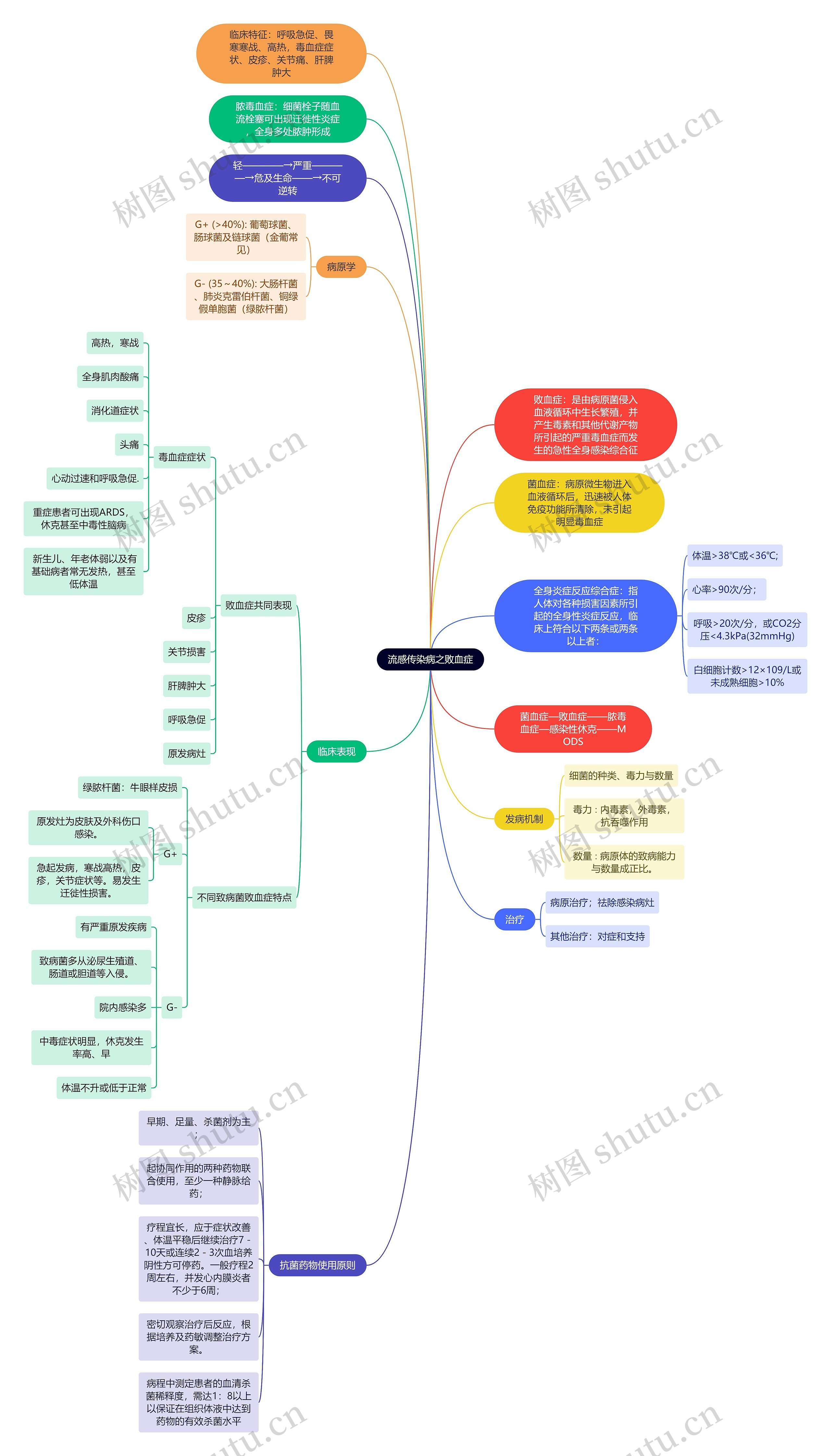 流感传染病之败血症思维导图