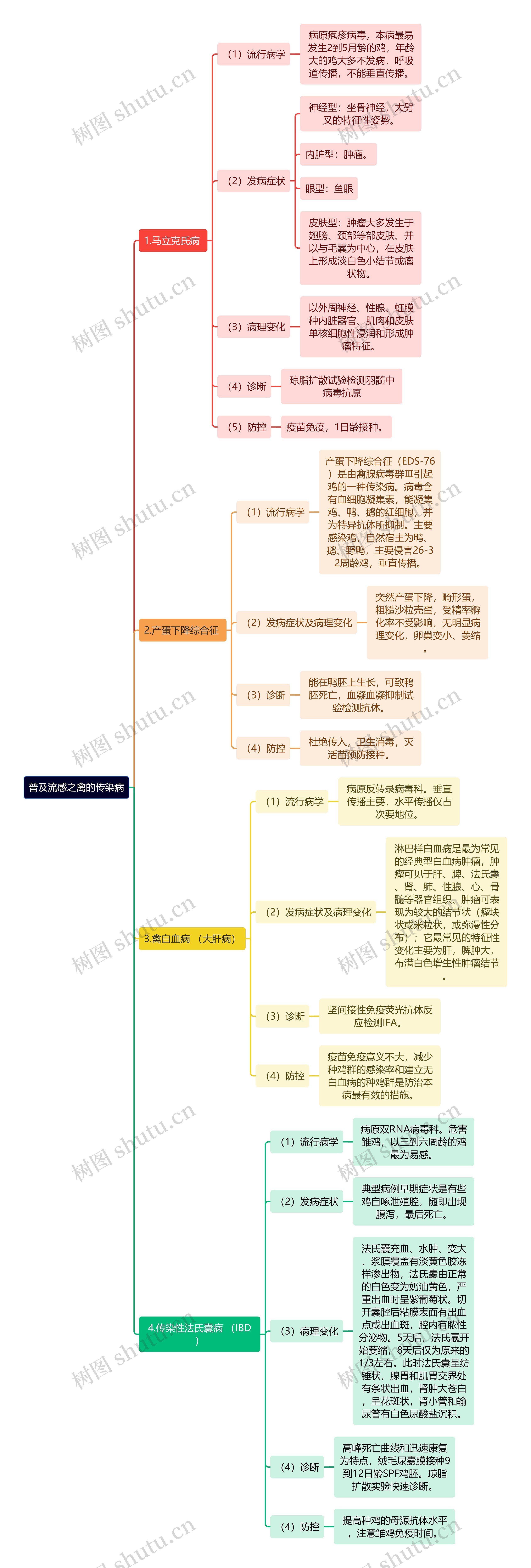 普及流感之禽的传染病思维导图