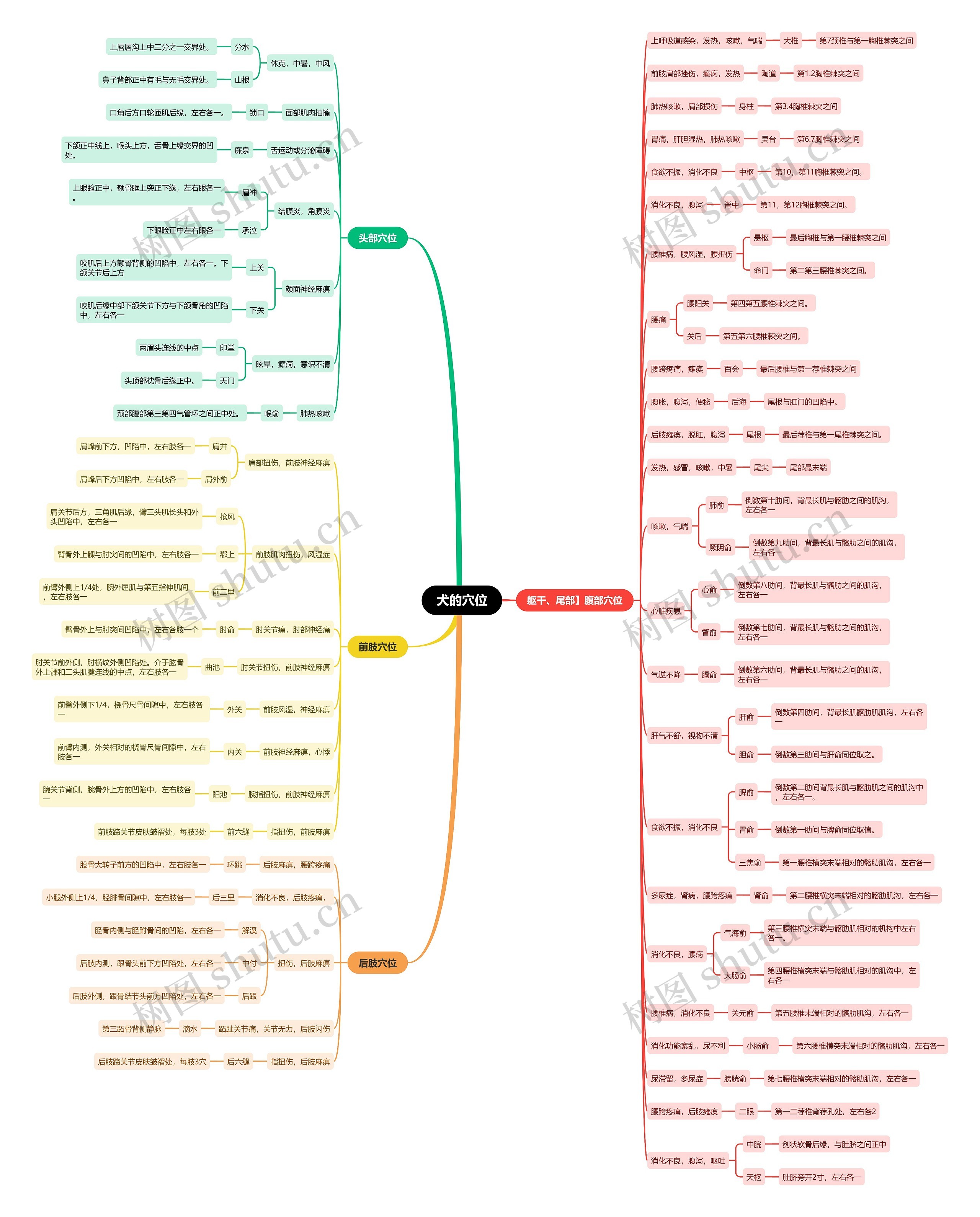 犬的穴位思维导图高清图 犬的穴位思维导图