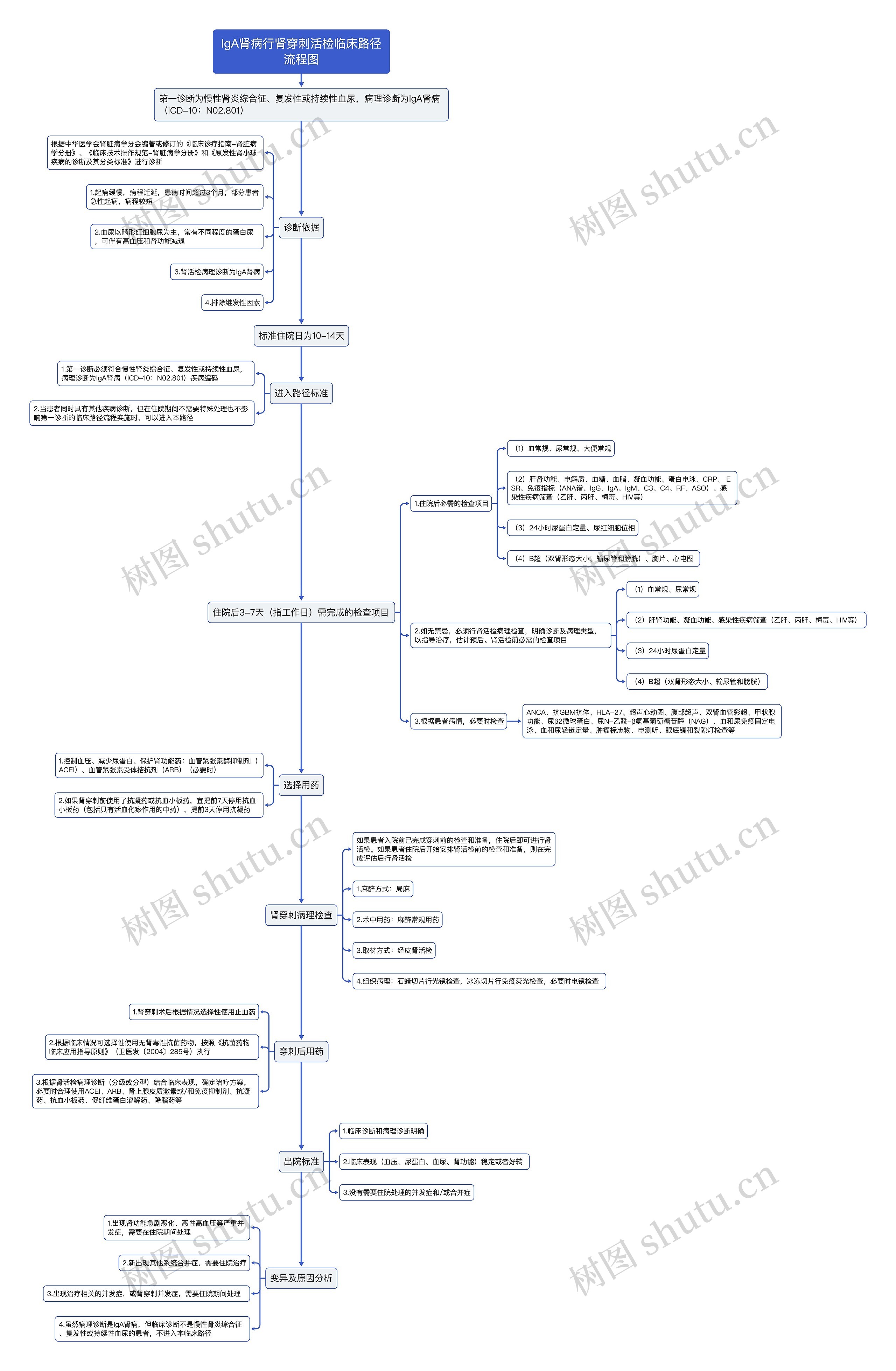 IgA肾病行肾穿刺活检临床路径流程图思维导图