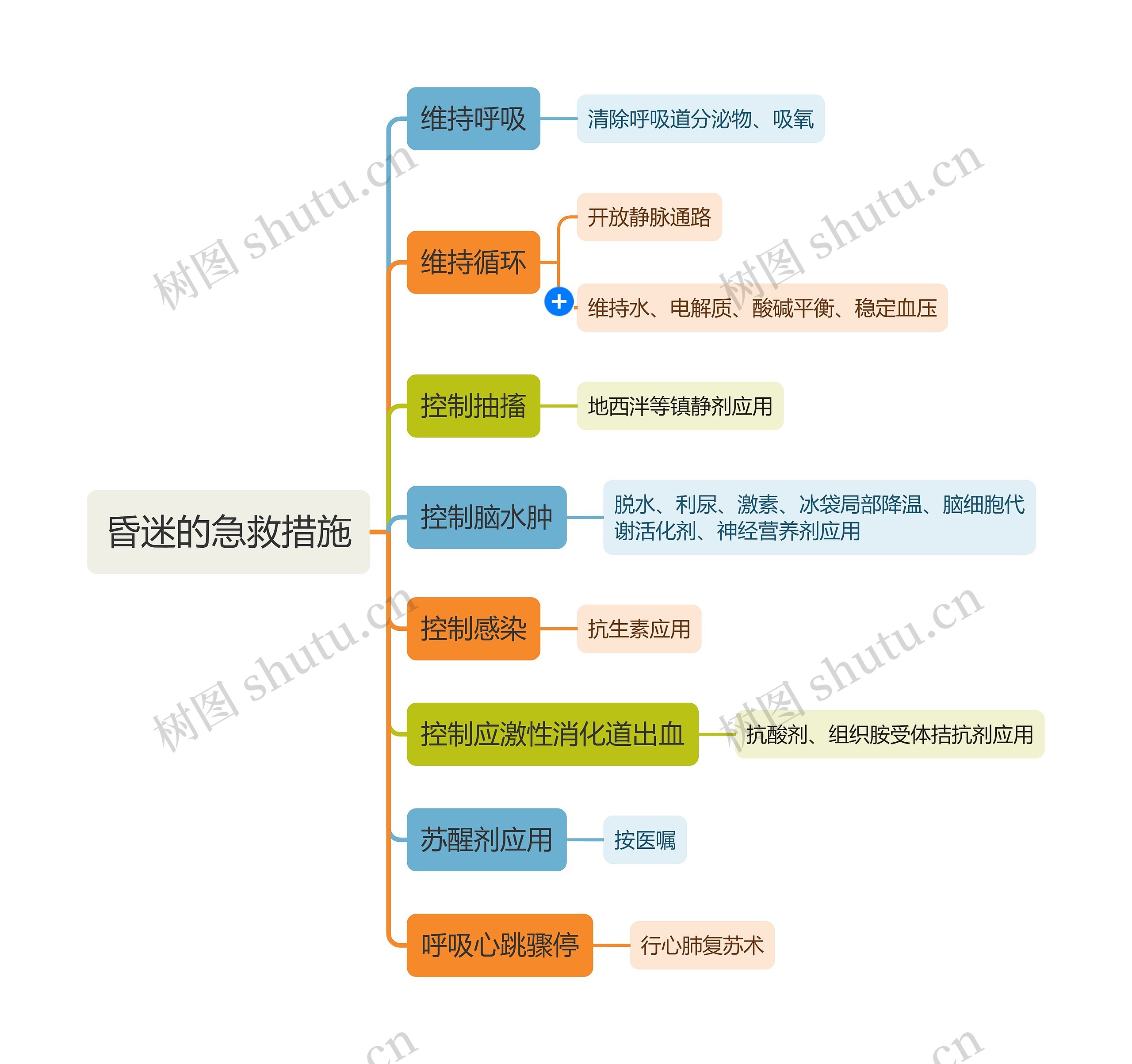 医疗知识昏迷的急救措施思维导图