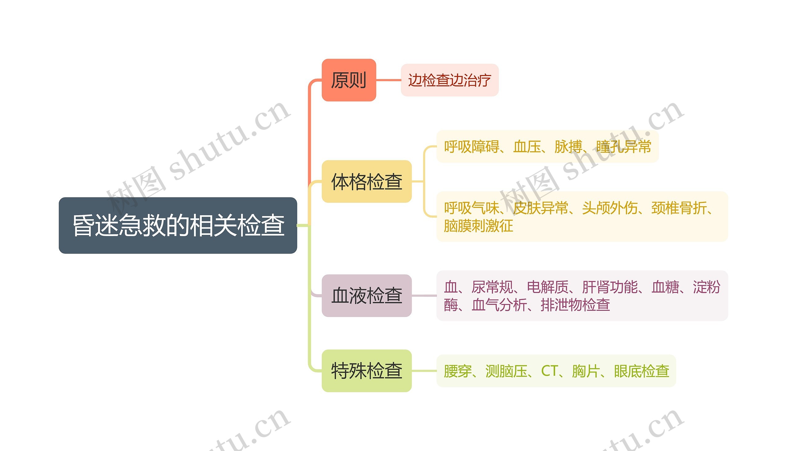 医疗知识昏迷急救的相关检查思维导图