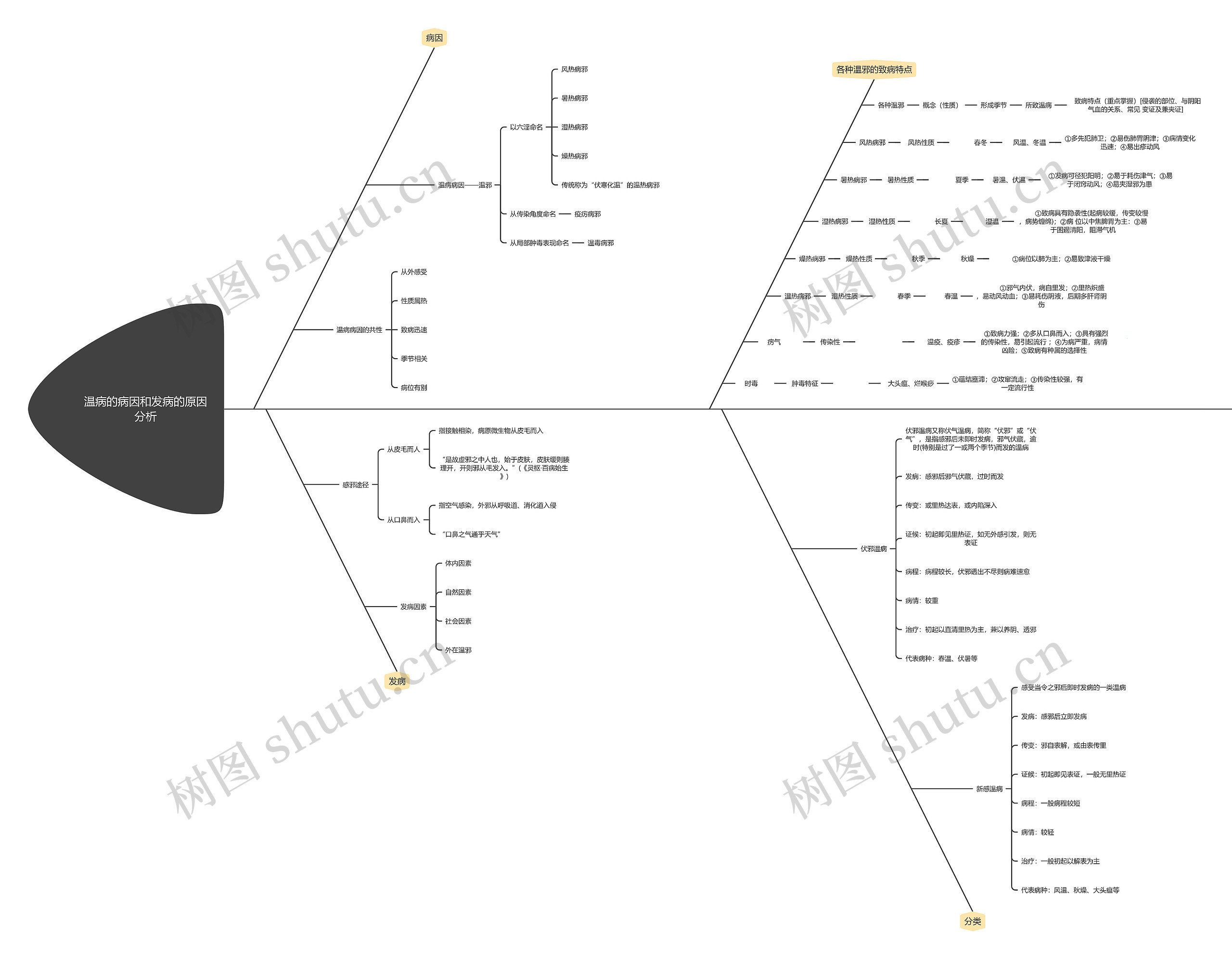 温病的病因和发病的原因分析思维导图