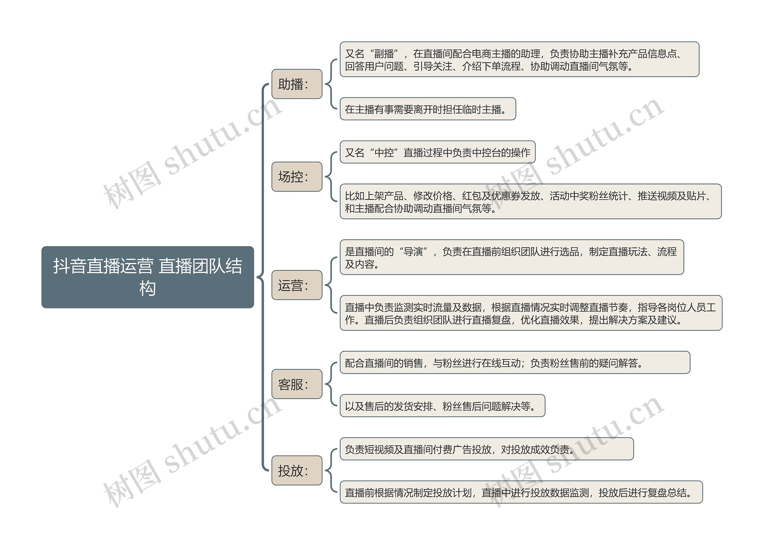 抖音直播运营 直播团队结构