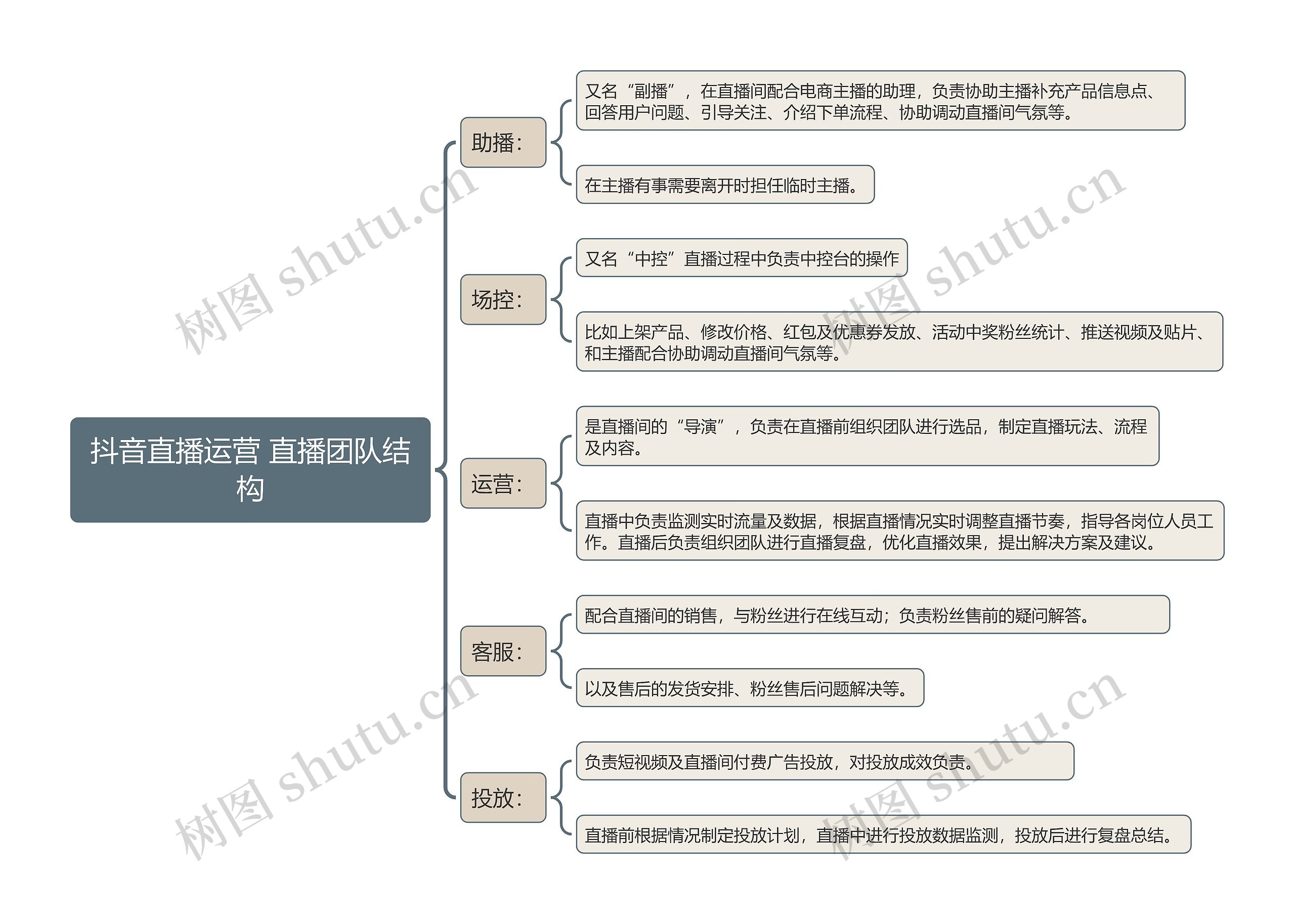 抖音直播运营 直播团队结构思维导图