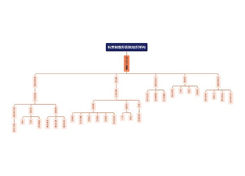 私营制整形医院组织架构