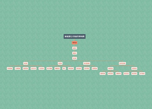 新能源公司组织架构图