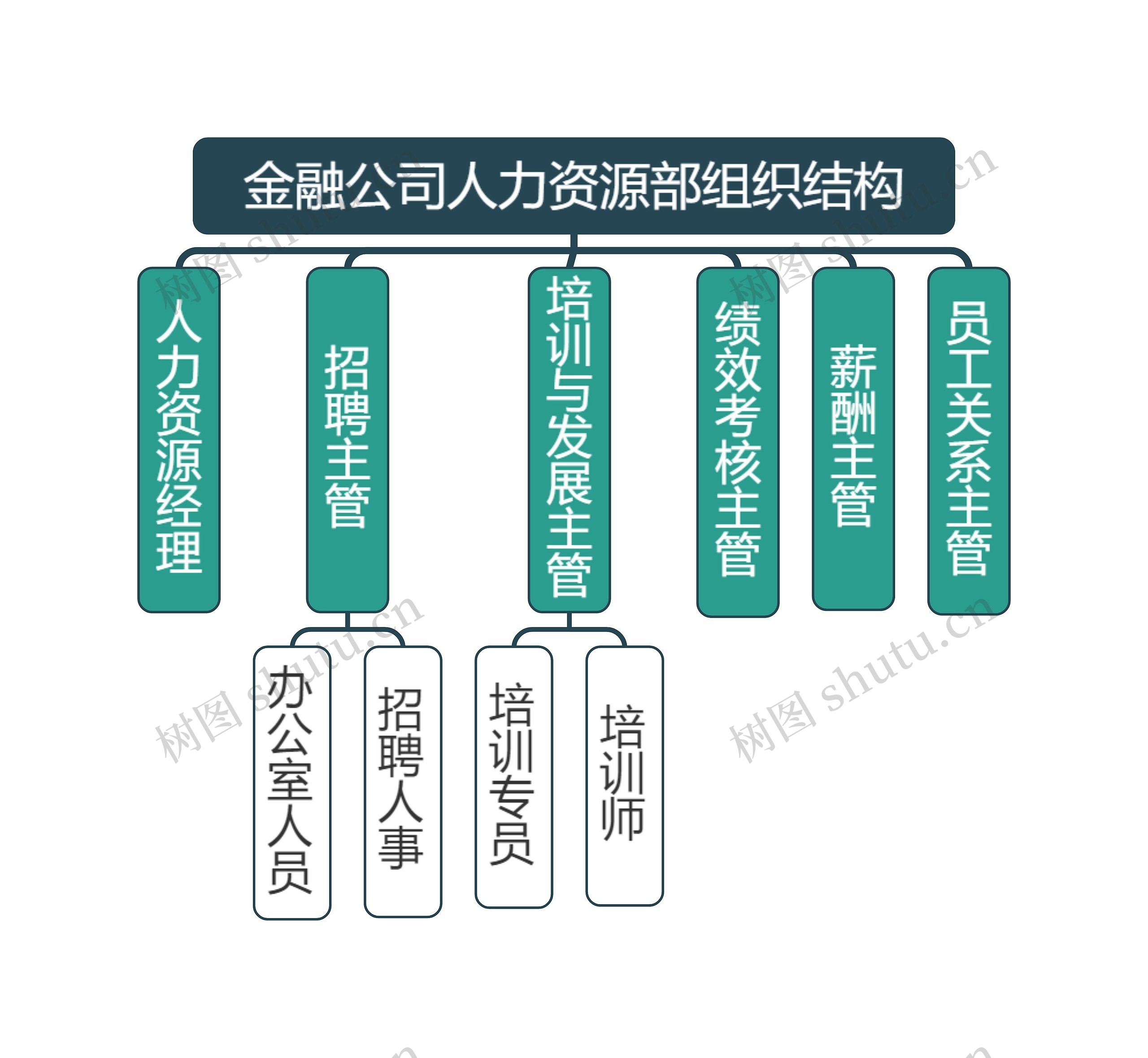 金融公司人力资源部组织结构