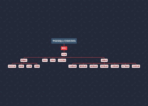 中国保险公司组织架构