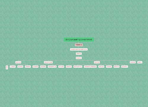 医疗卫生和健康产业分会组织架构图