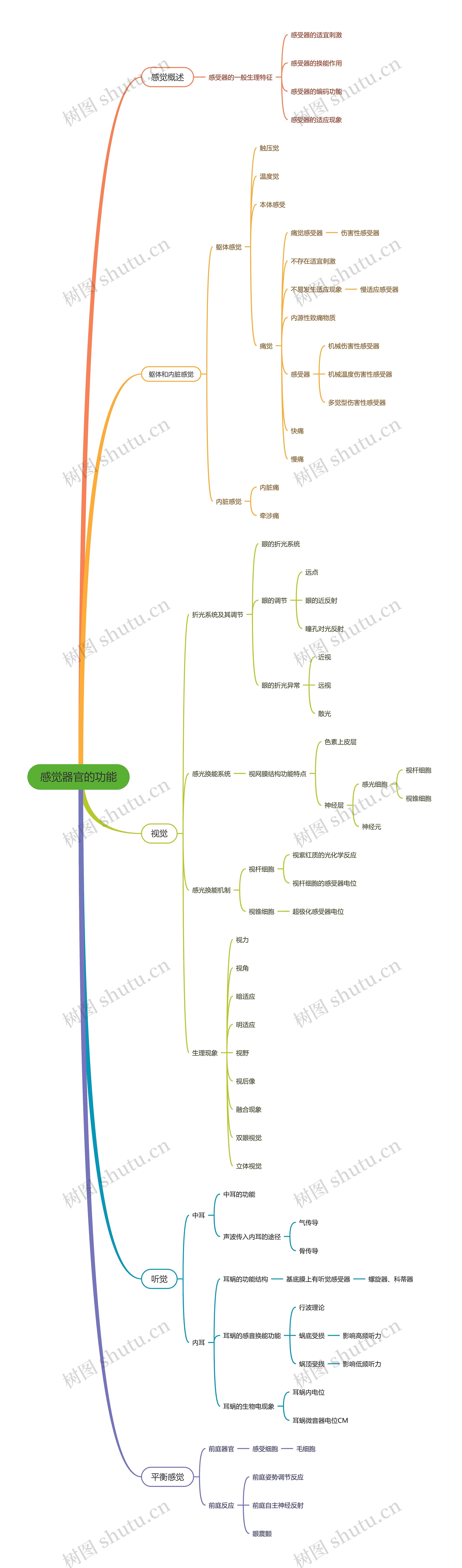 感觉器官的功能思维导图