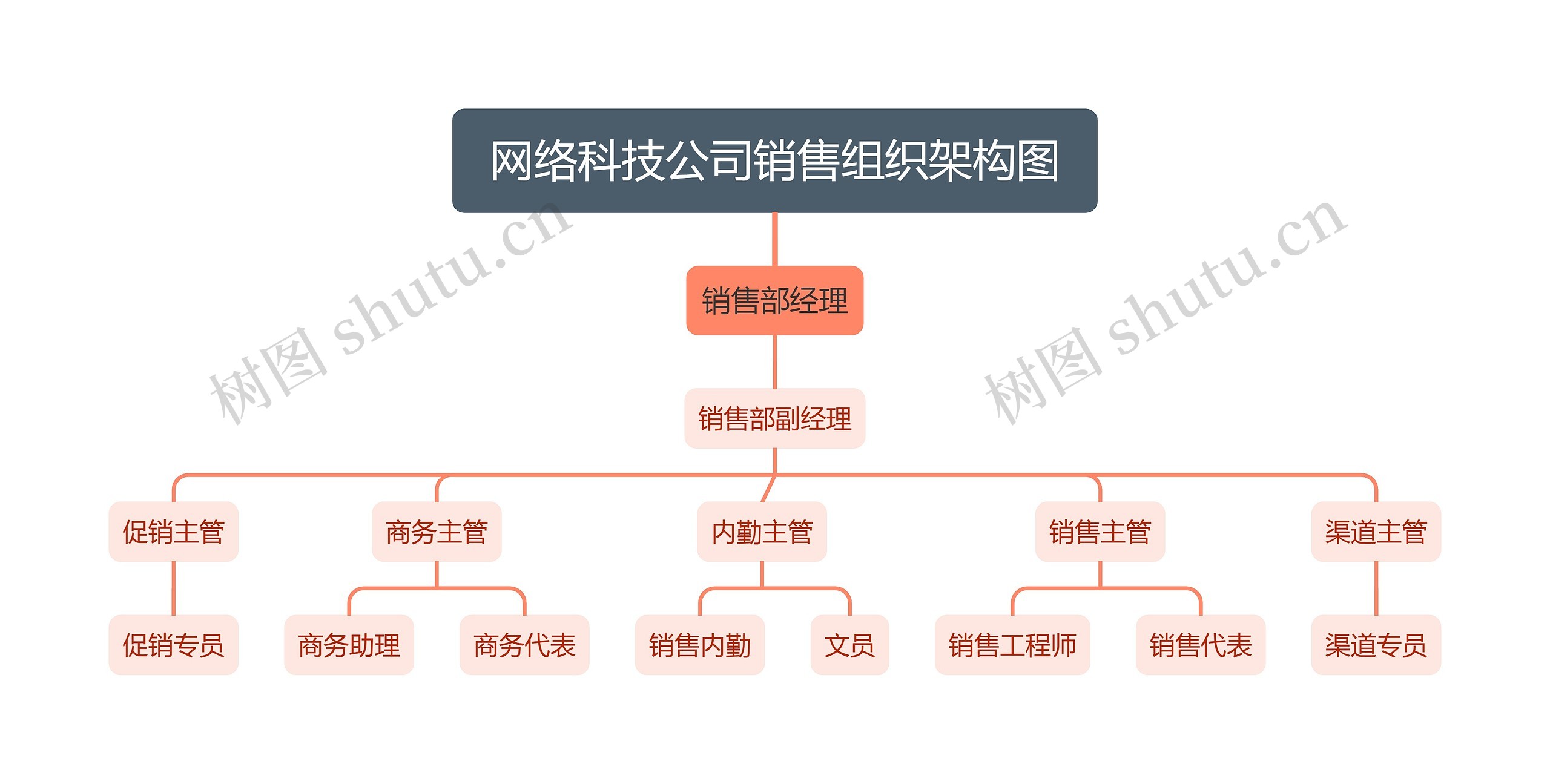 网络科技公司销售组织架构图