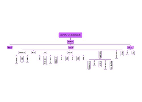 风光地产总部组织架构