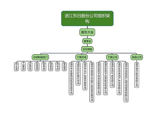 浙江东日股份公司组织架构
