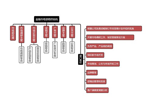 金融市场部组织结构