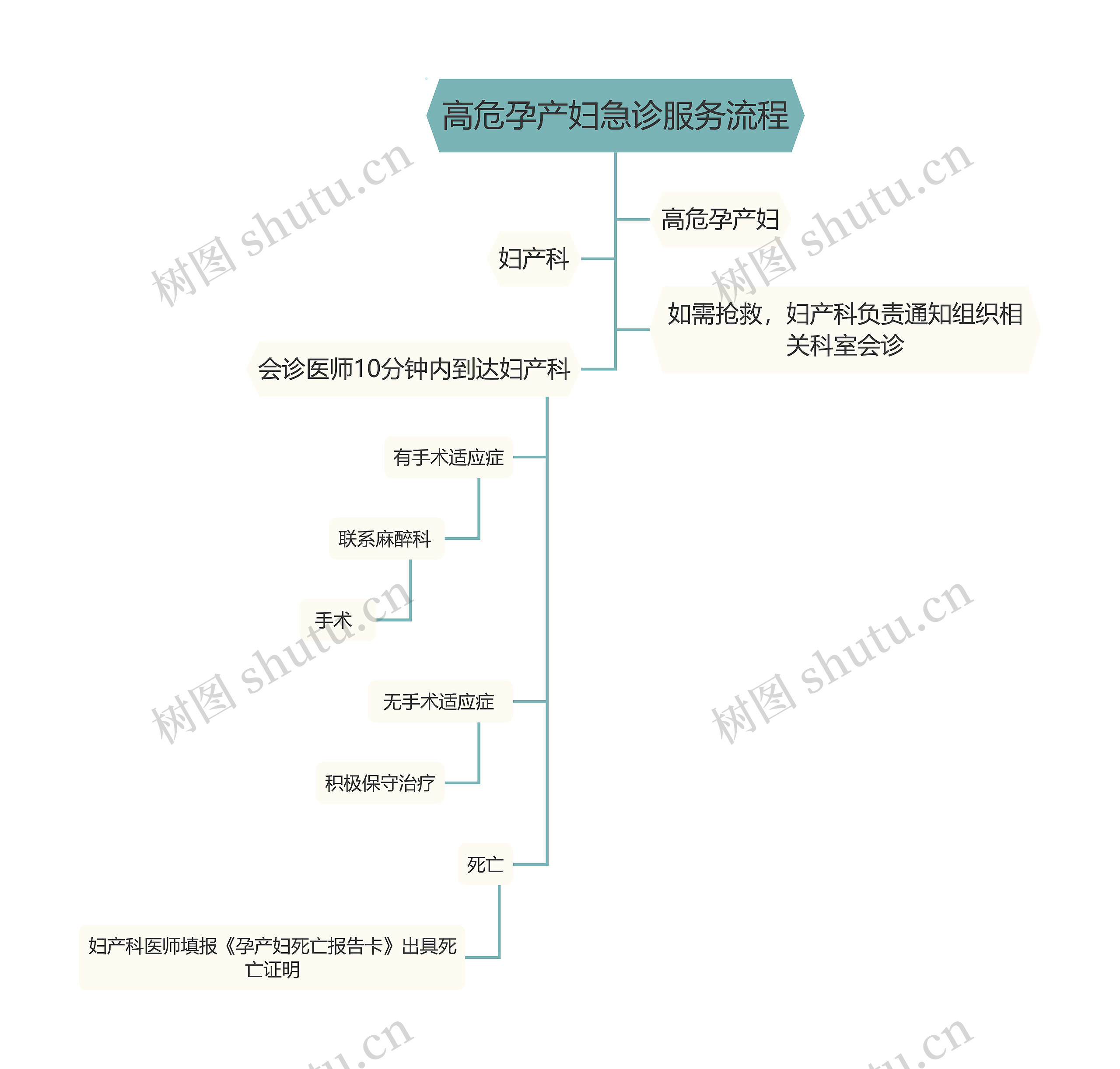 高危孕产妇急诊服务流程