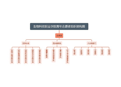 生物科技职业学院青年志愿者组织架构图