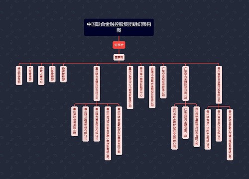 中国联合金融控股集团组织架构图