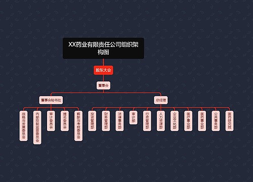 XX药业有限责任公司组织架构图