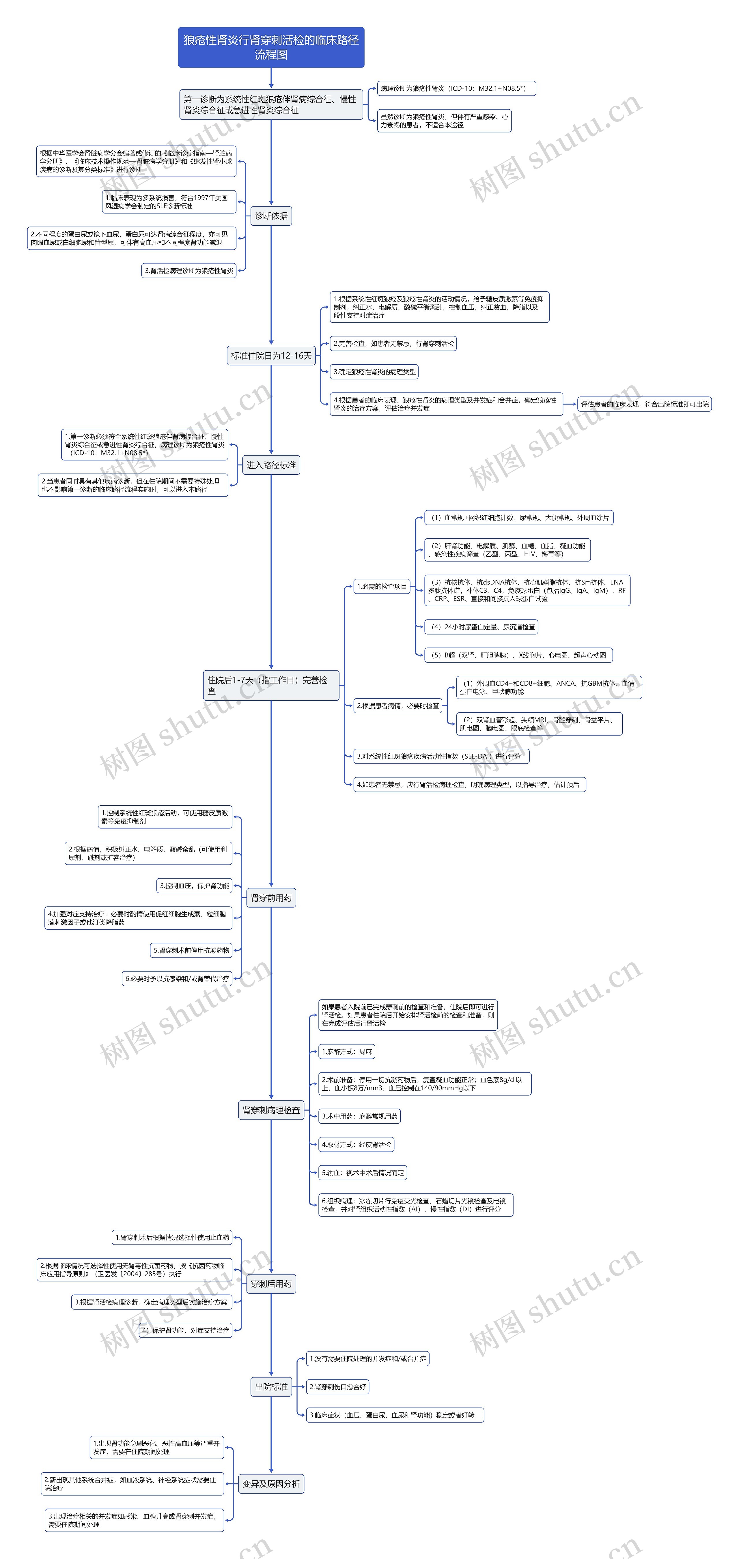 狼疮性肾炎行肾穿刺活检临床路径流程图思维导图