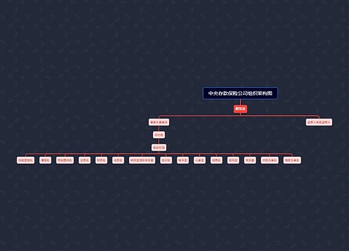 中央存款保险公司组织架构图