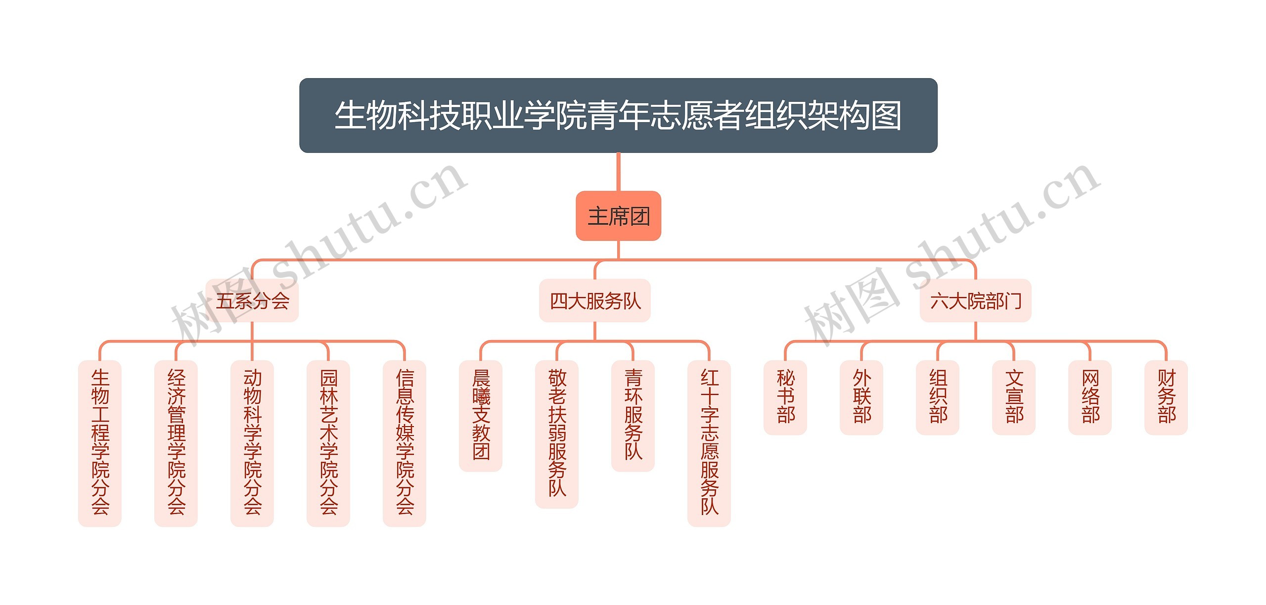 生物科技职业学院青年志愿者组织架构图