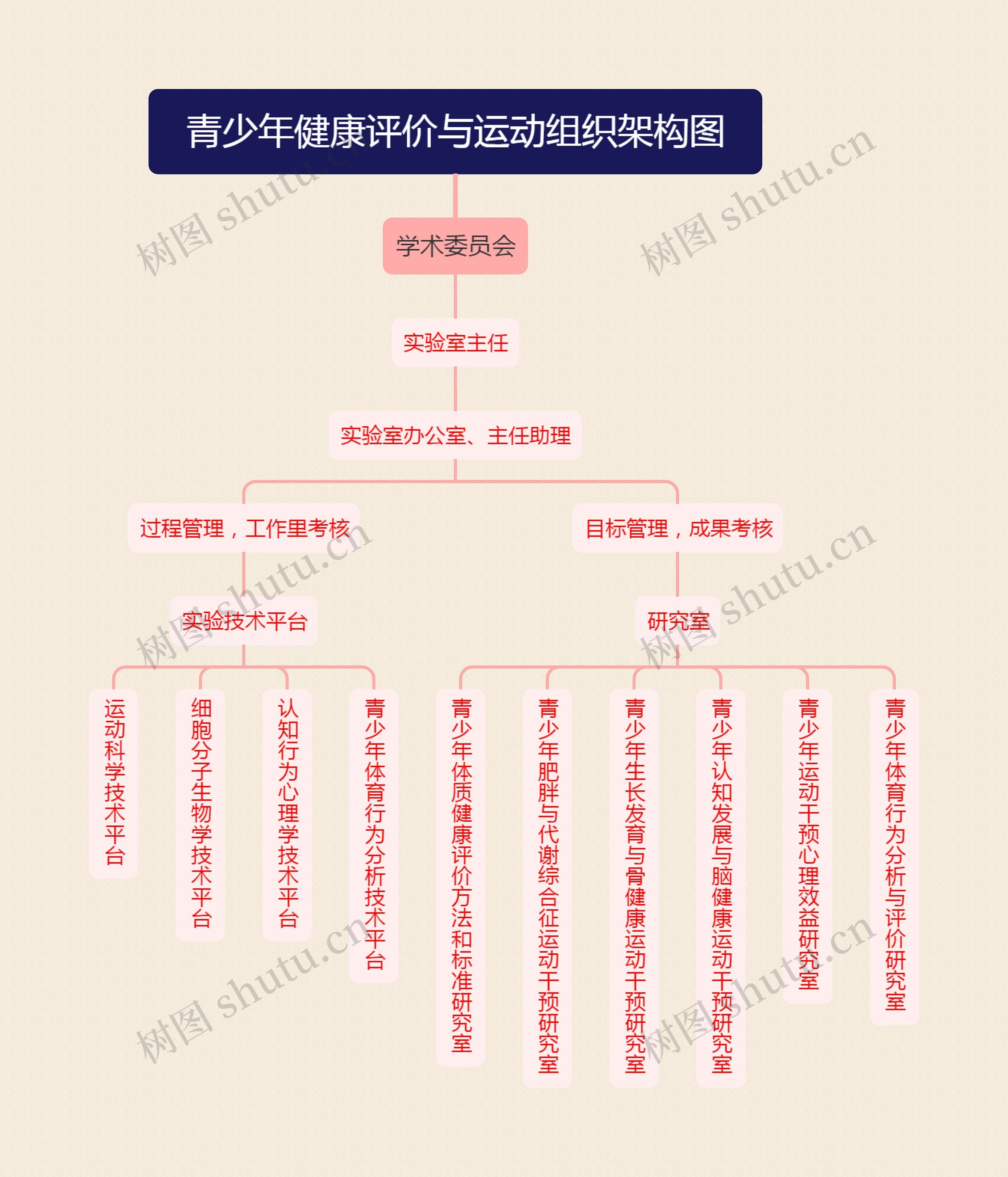 青少年健康评价与运动组织架构图思维导图