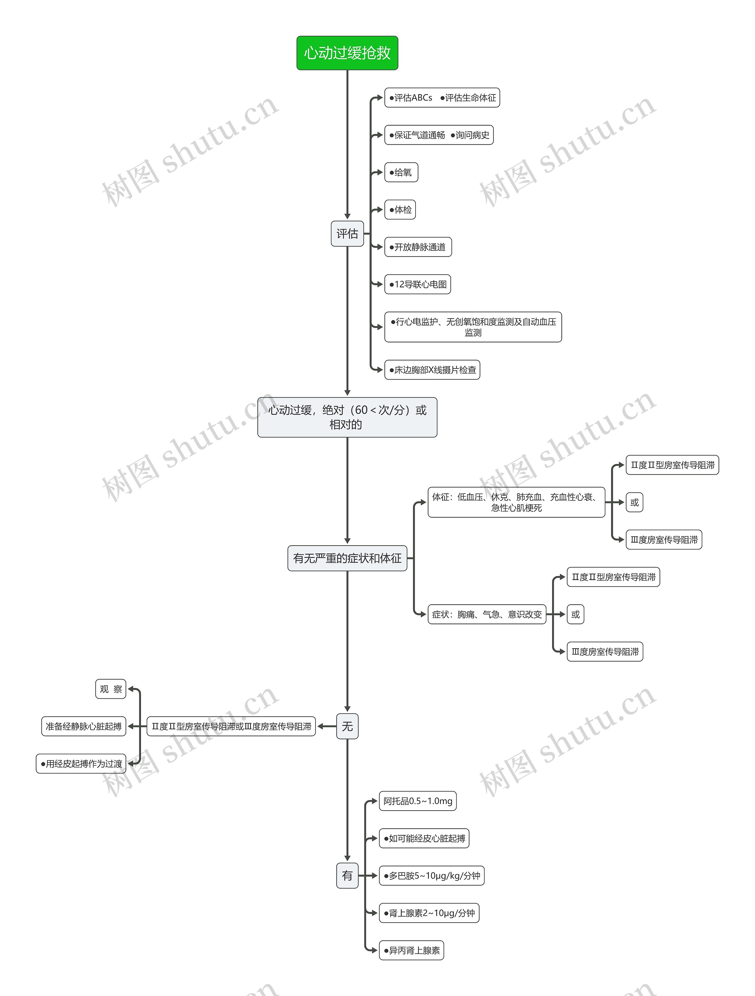 医疗心动过缓抢救流程图思维导图
