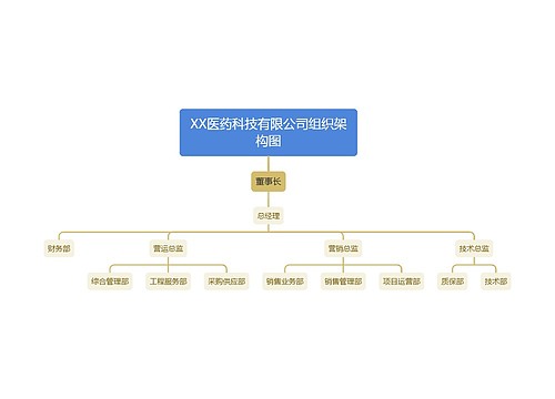 XX医药科技有限公司组织架构图