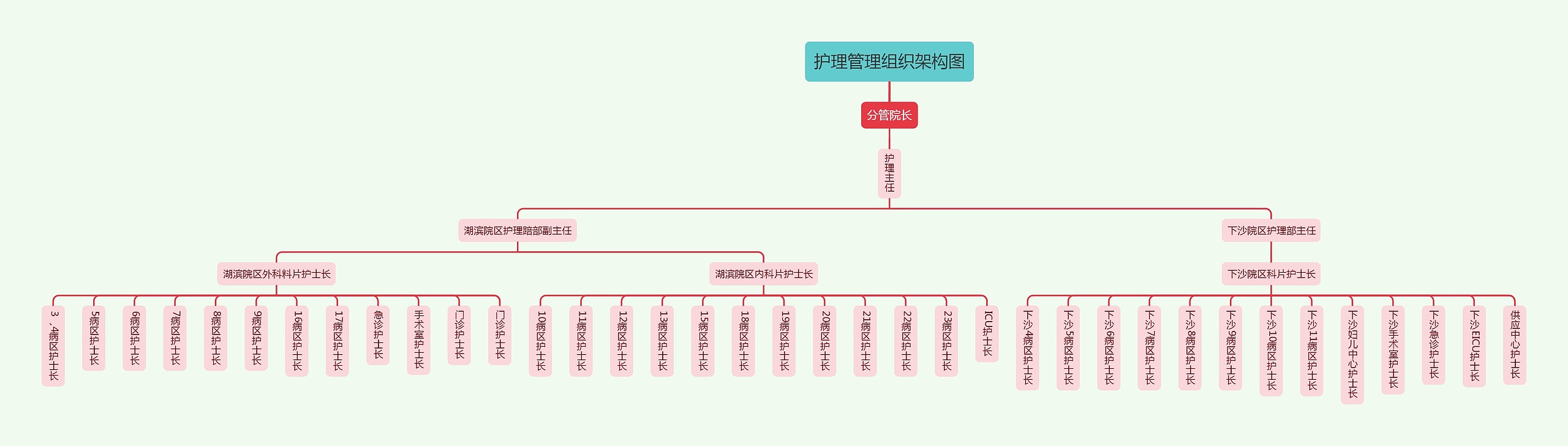 护理管理组织架构图