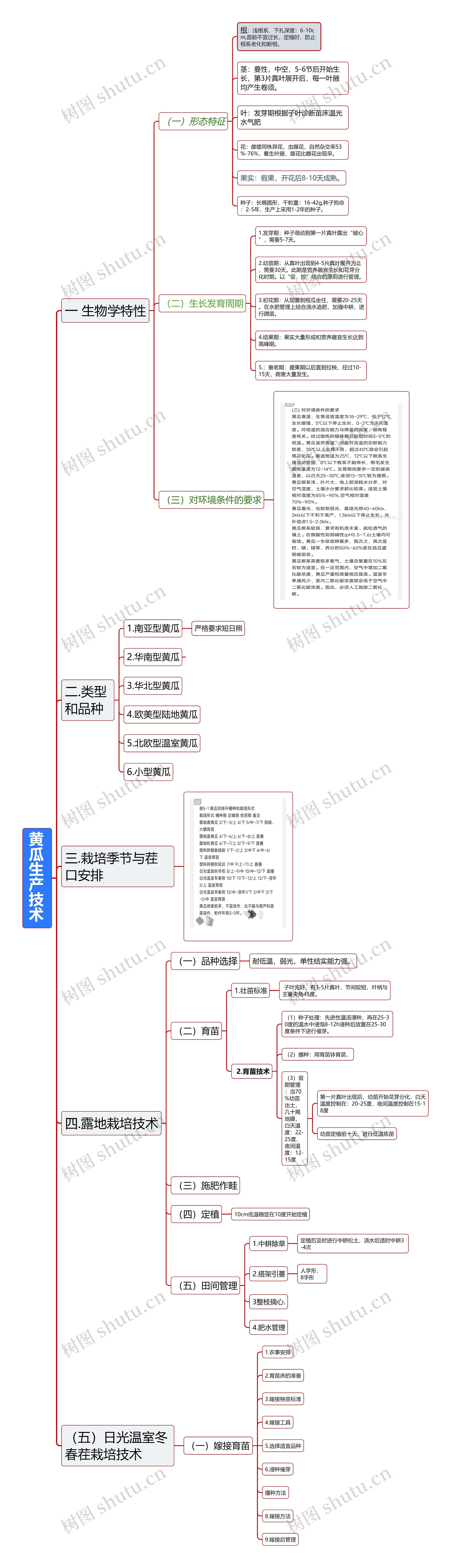 黄瓜生产技术