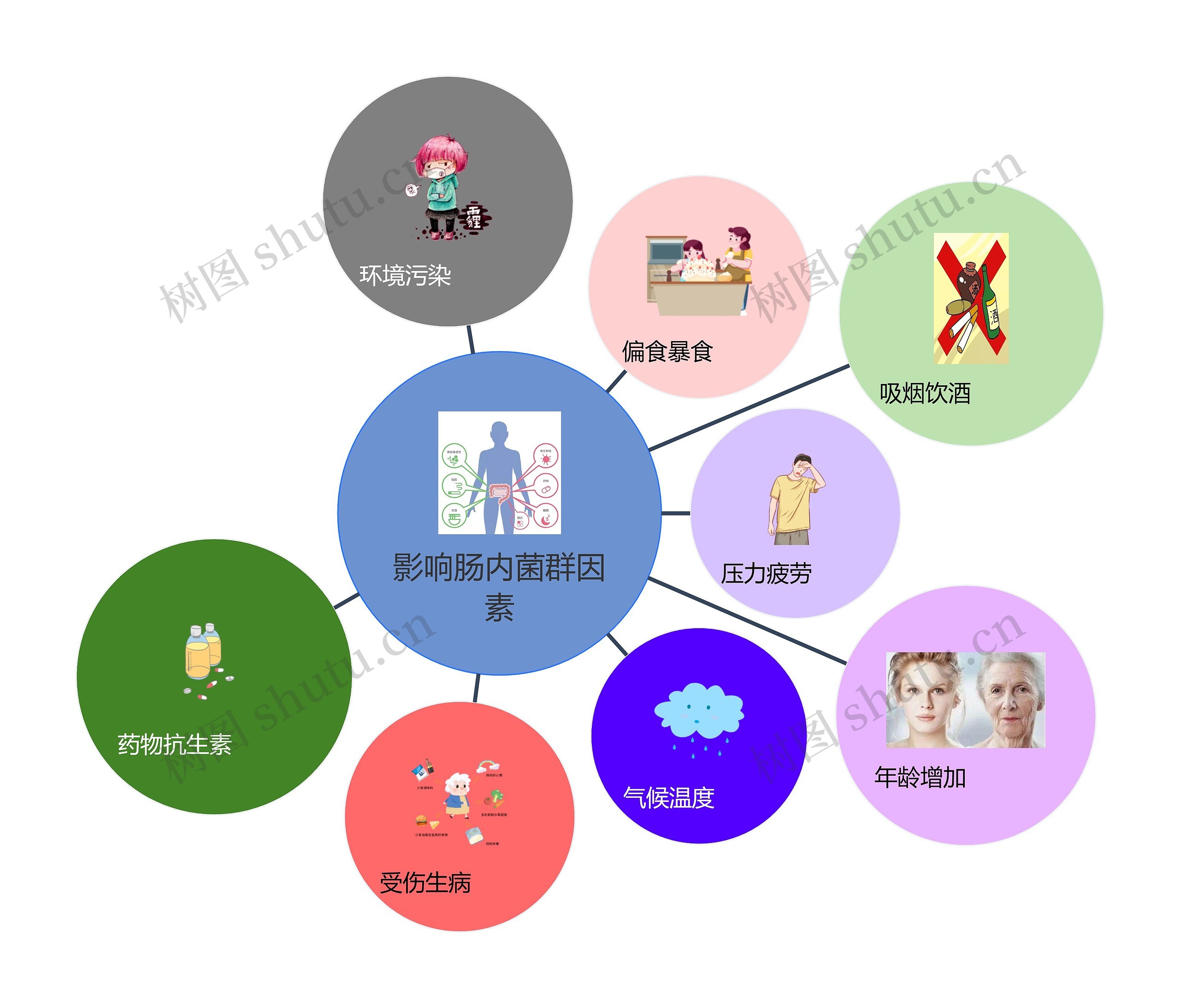 影响肠内菌群因素气泡图思维导图