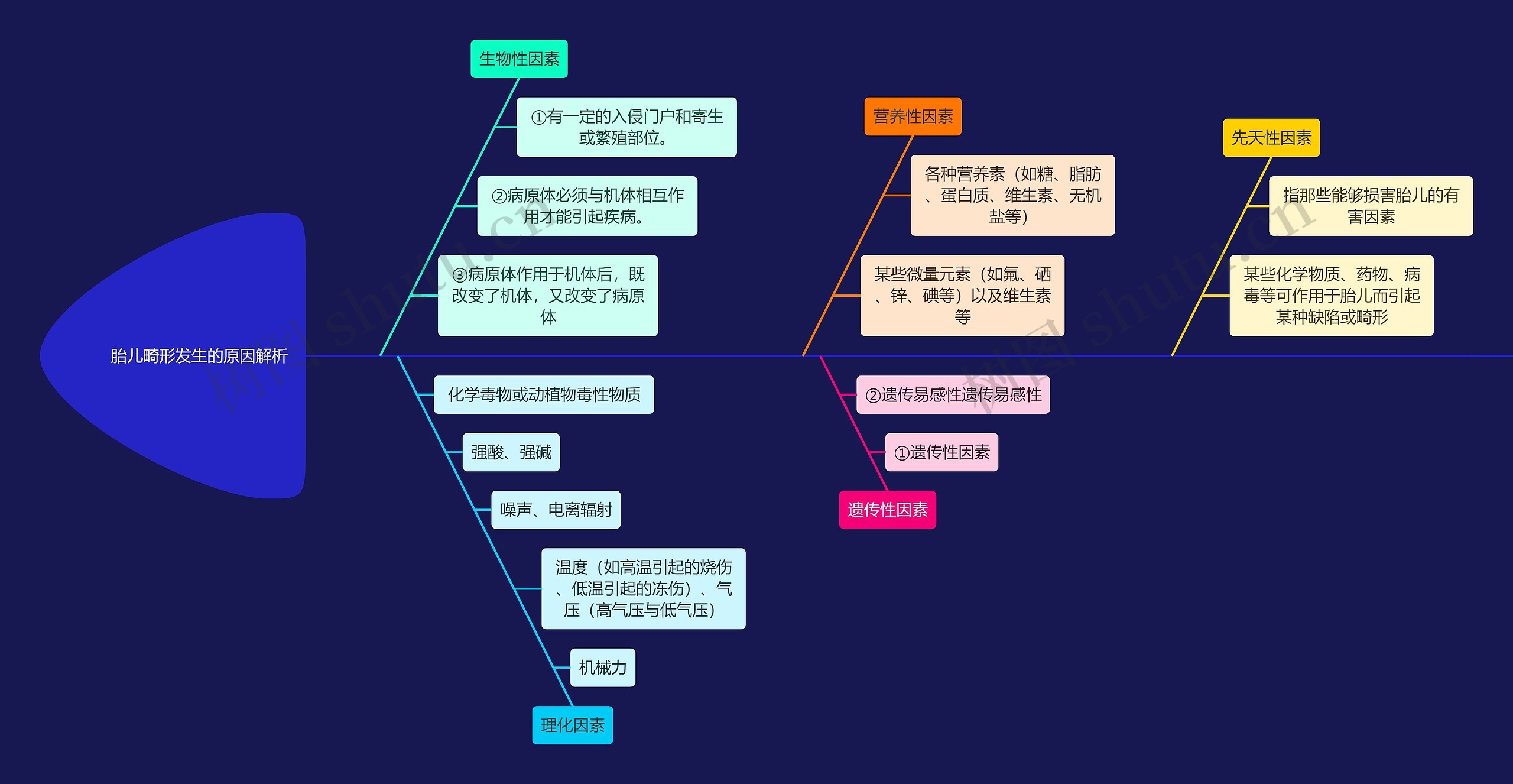 医疗儿科胎儿畸形发生的原因分析鱼骨图