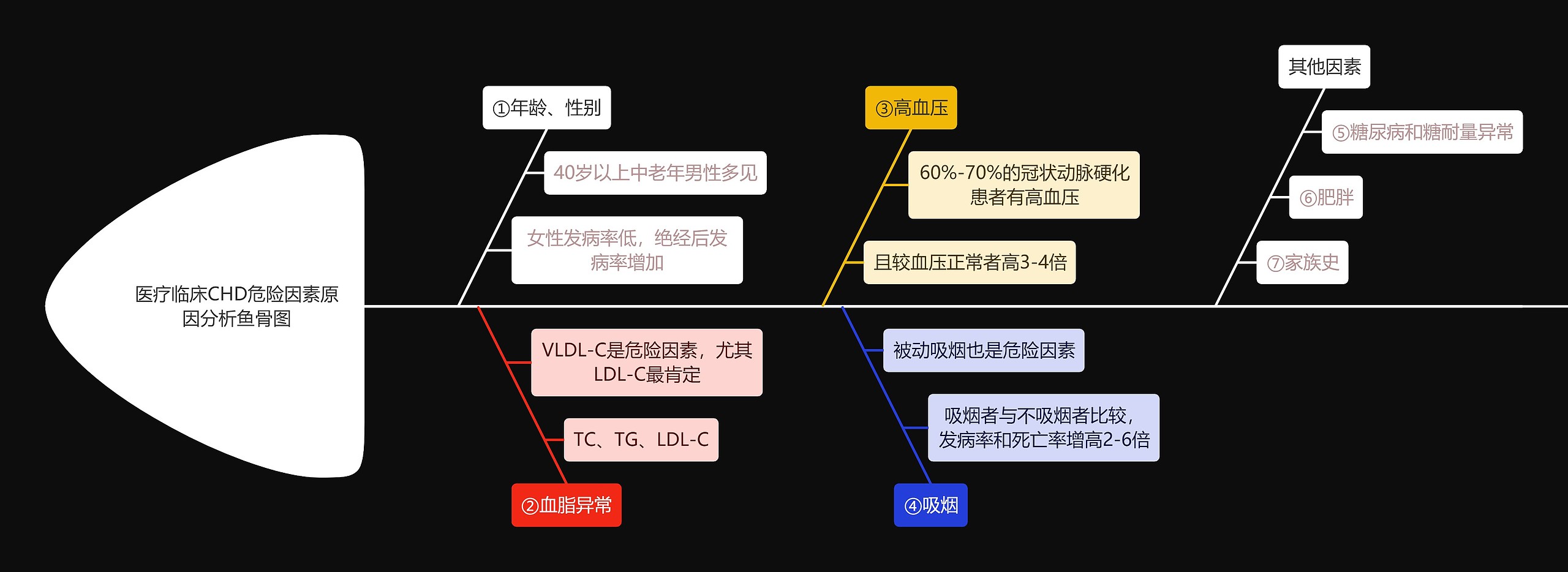 医疗临床CHD危险因素原因分析鱼骨图