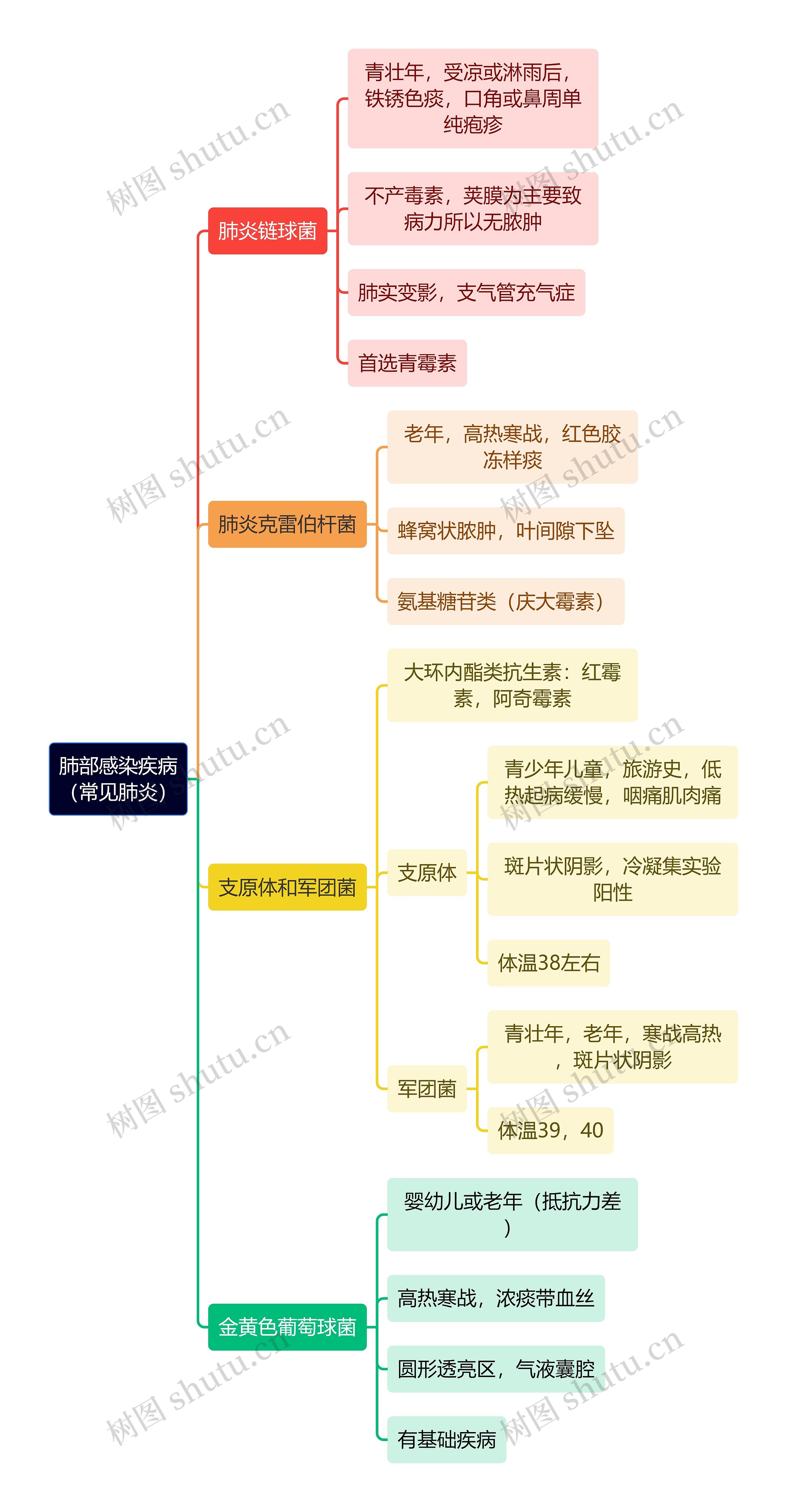 肺部感染疾病
（常见肺炎）思维导图