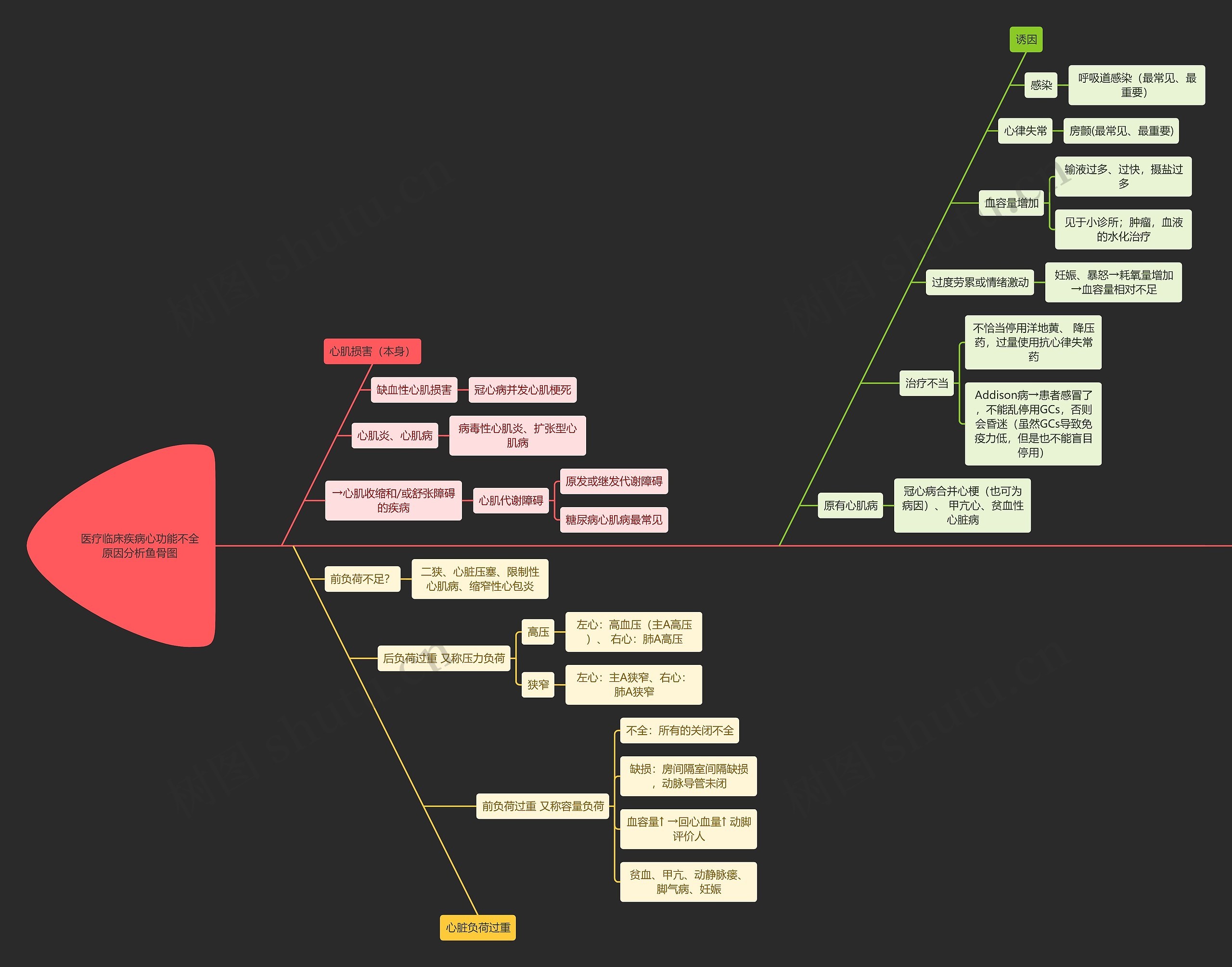 医疗临床疾病心功能不全原因分析鱼骨图