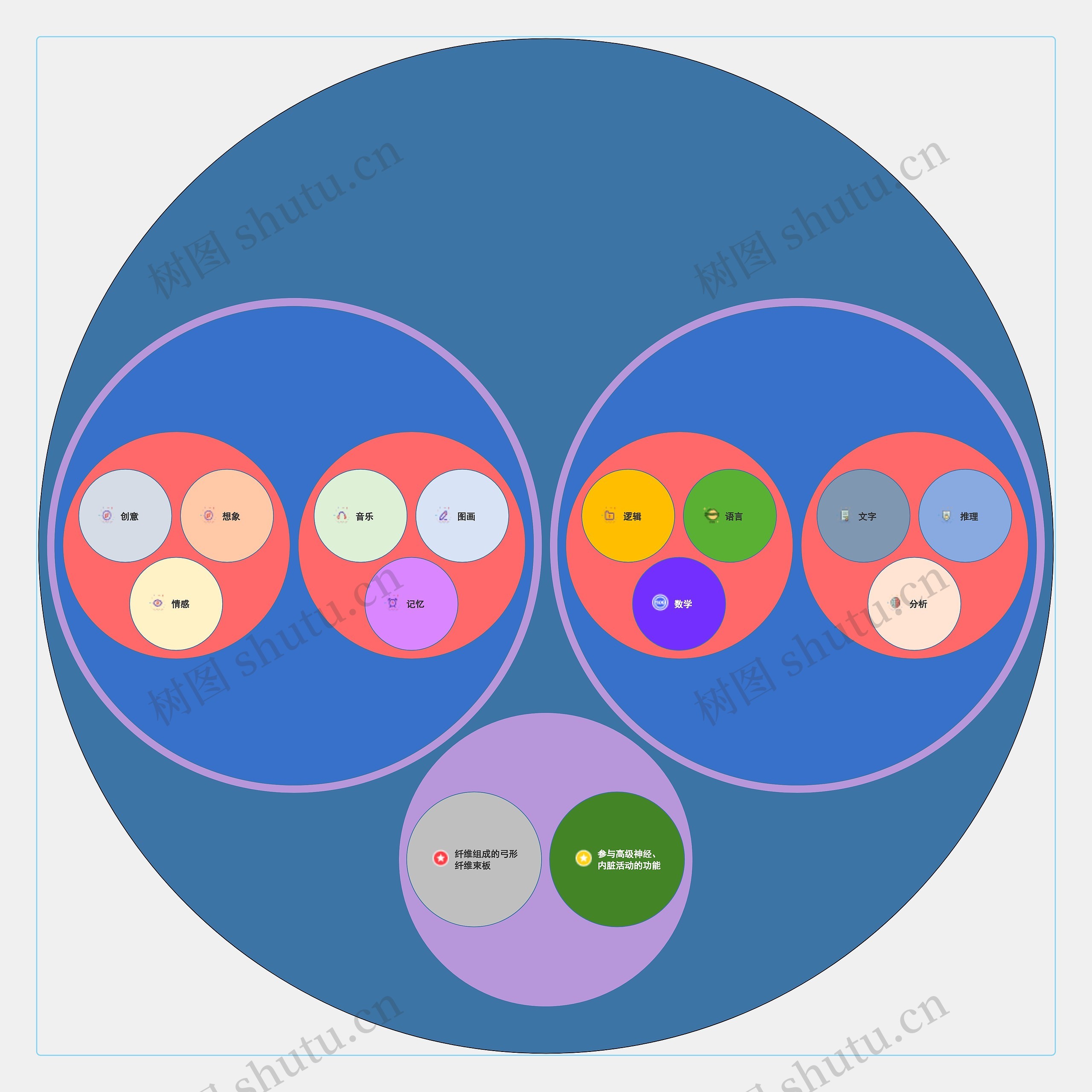 左右脑功能圆圈图思维导图
