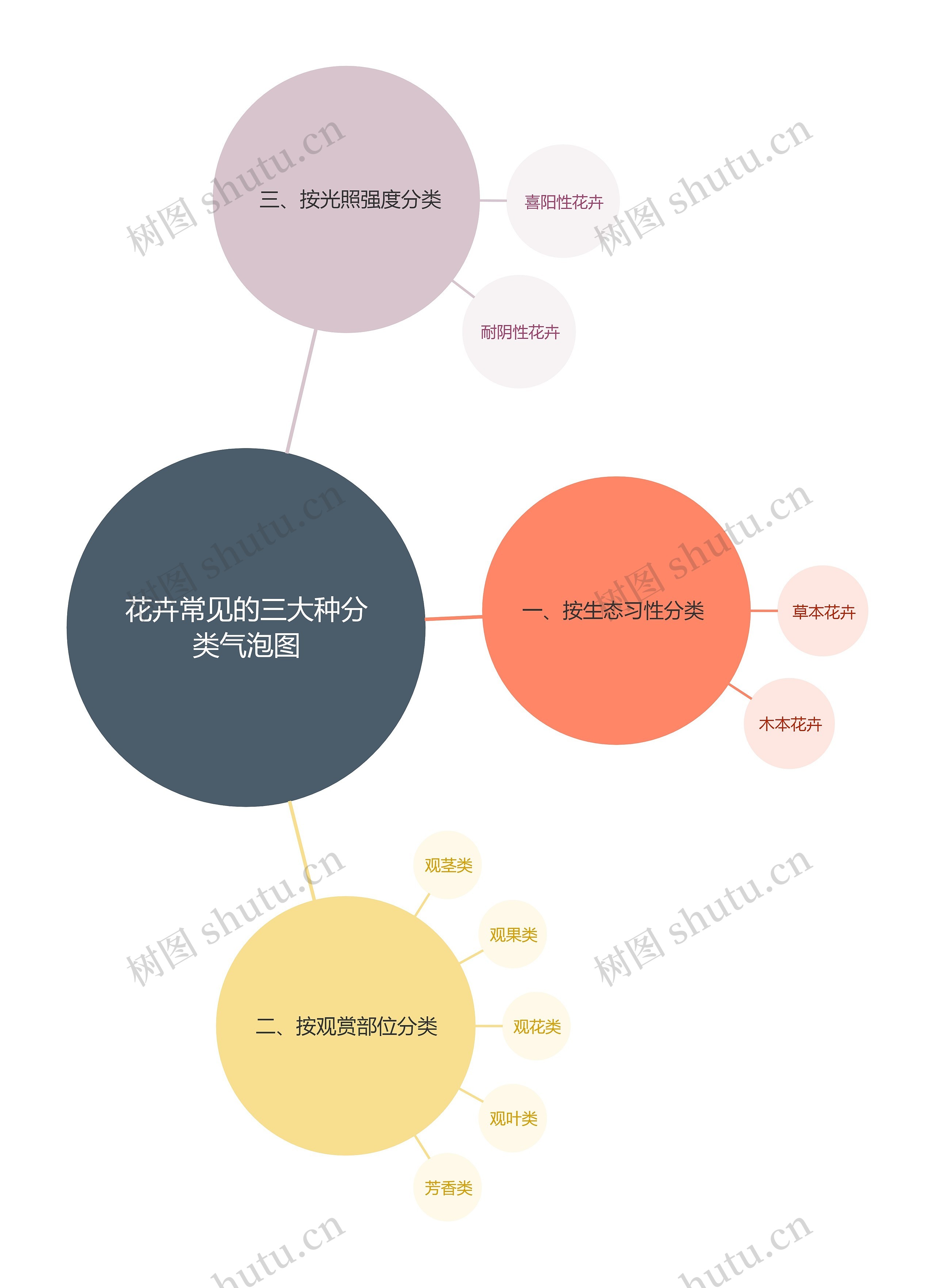 花卉常见的三大种分类气泡图思维导图